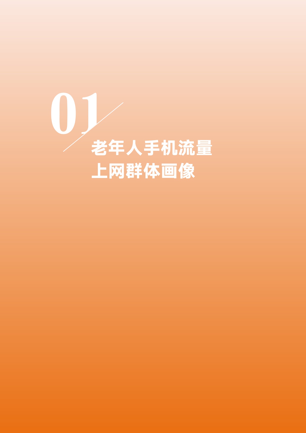 2025老年人手机流量上网大数据分析报告-中国老龄协会.pdf