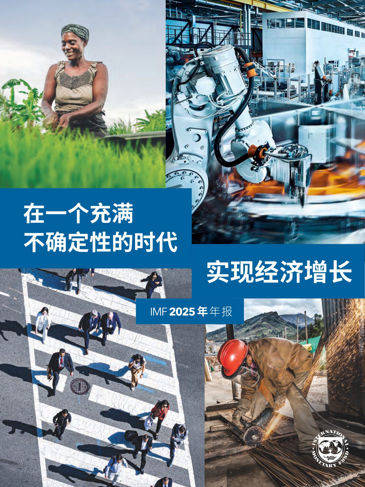 ‌国际货币基金组织（IMF）：2025年年度报告（中文）.pdf
