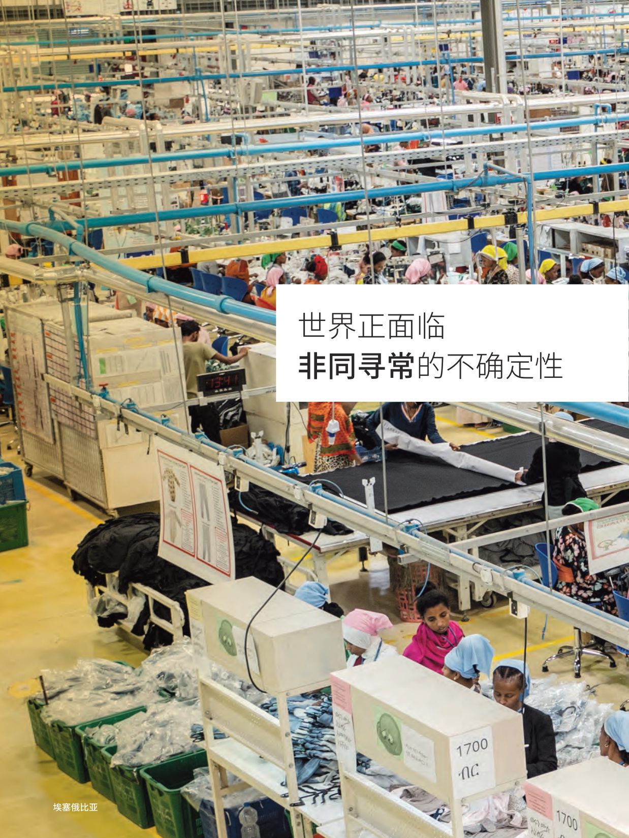 ‌国际货币基金组织（IMF）：2025年年度报告（中文）.pdf