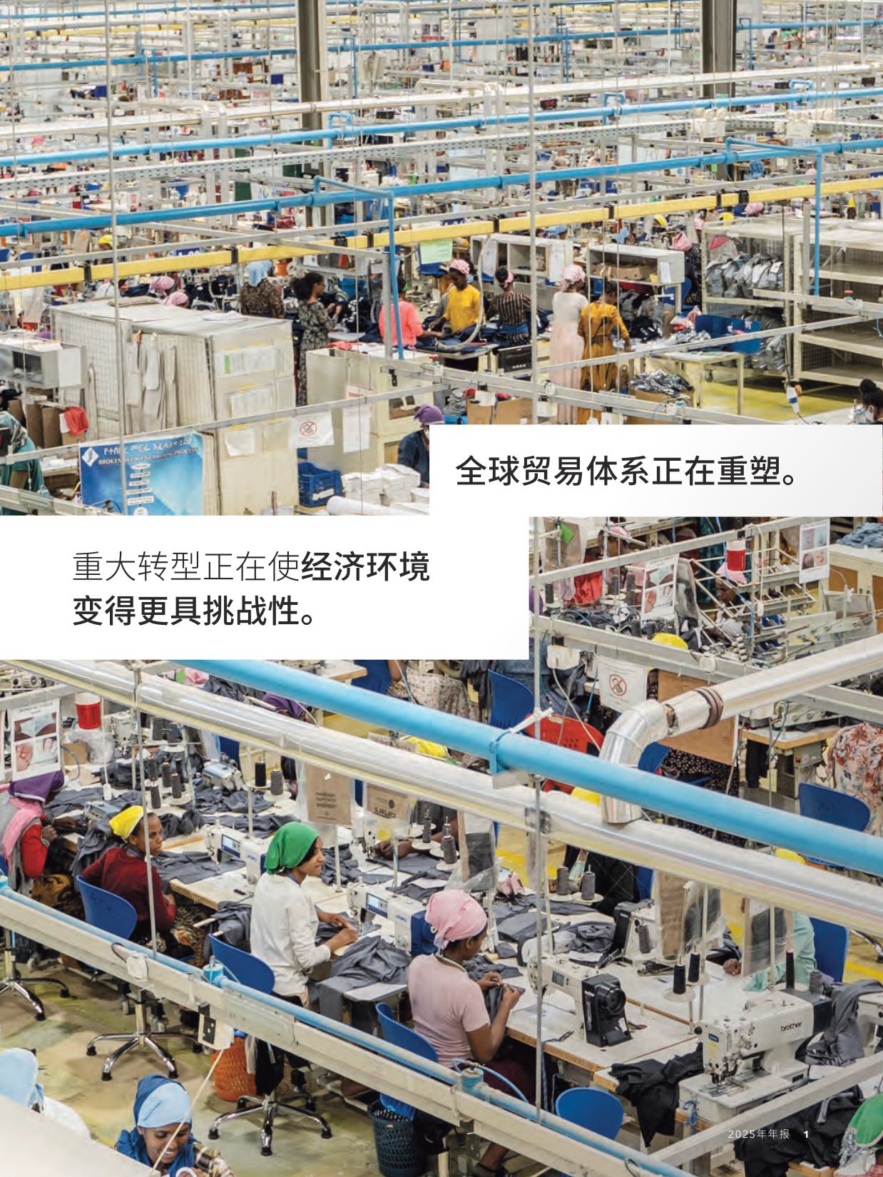 ‌国际货币基金组织（IMF）：2025年年度报告（中文）.pdf