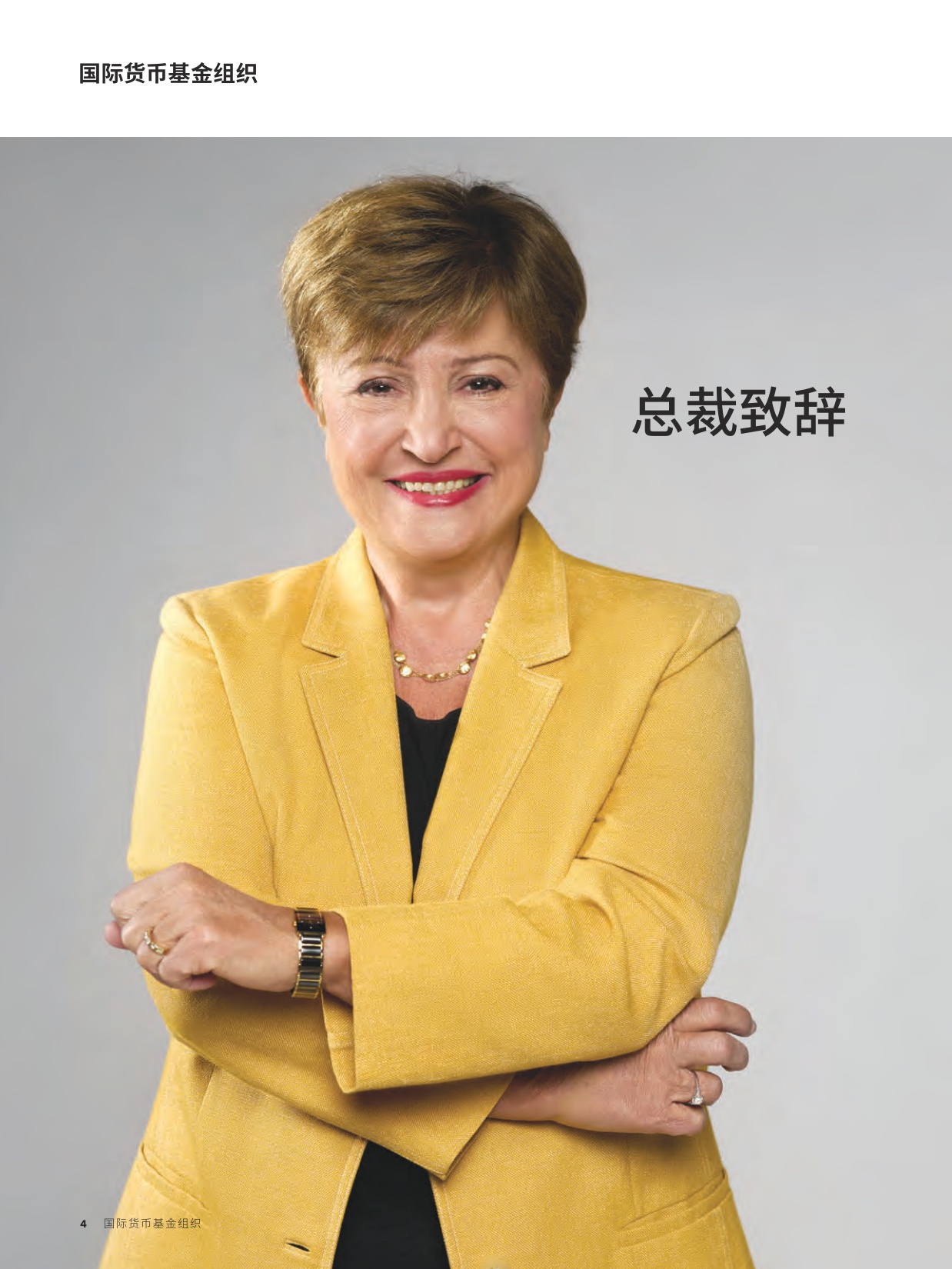 ‌国际货币基金组织（IMF）：2025年年度报告（中文）.pdf