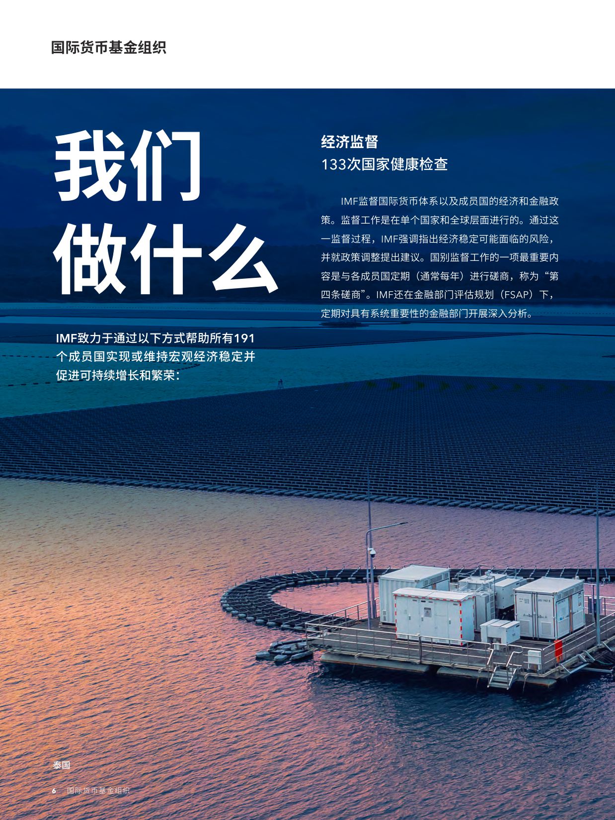 ‌国际货币基金组织（IMF）：2025年年度报告（中文）.pdf