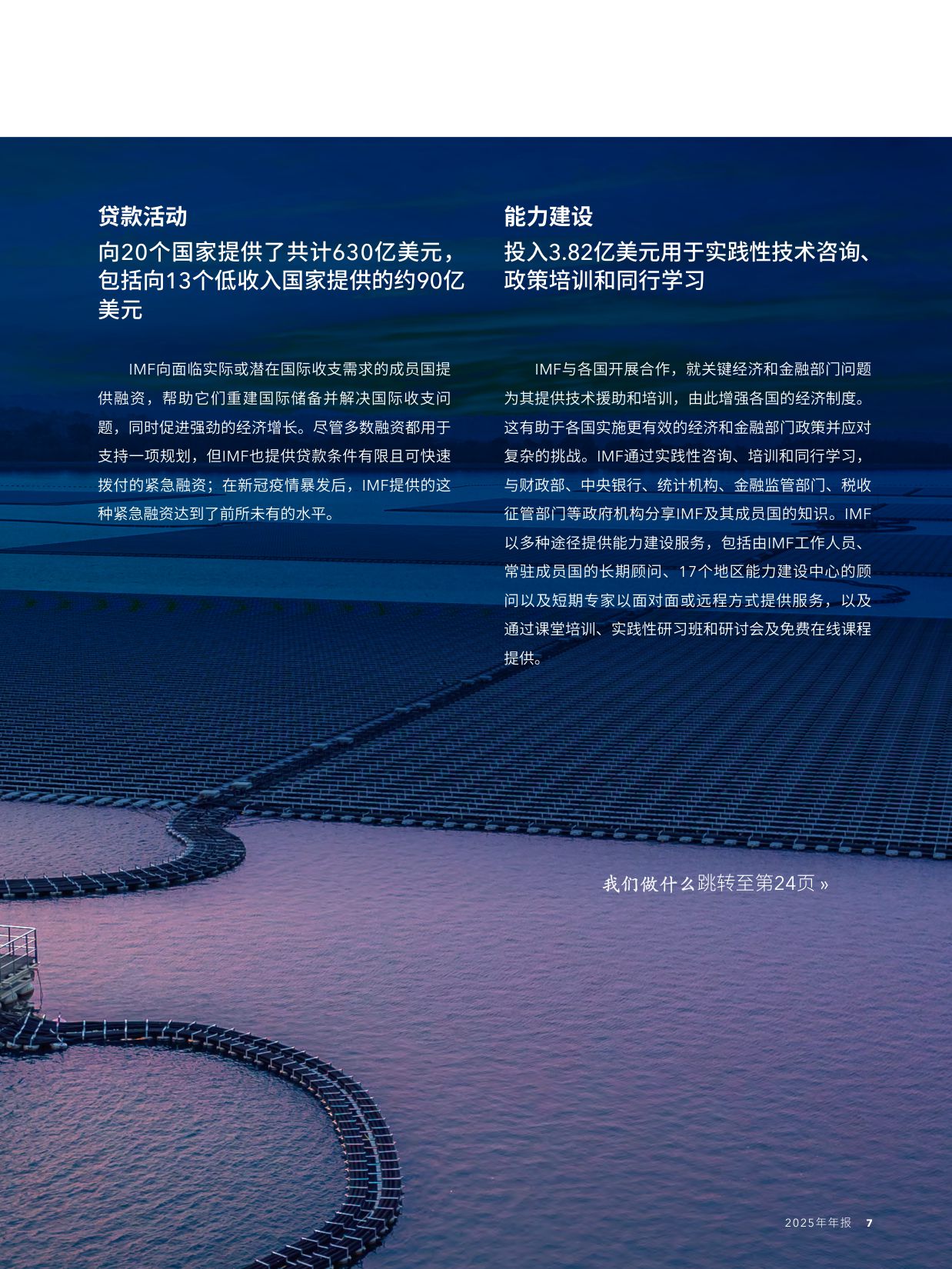 ‌国际货币基金组织（IMF）：2025年年度报告（中文）.pdf