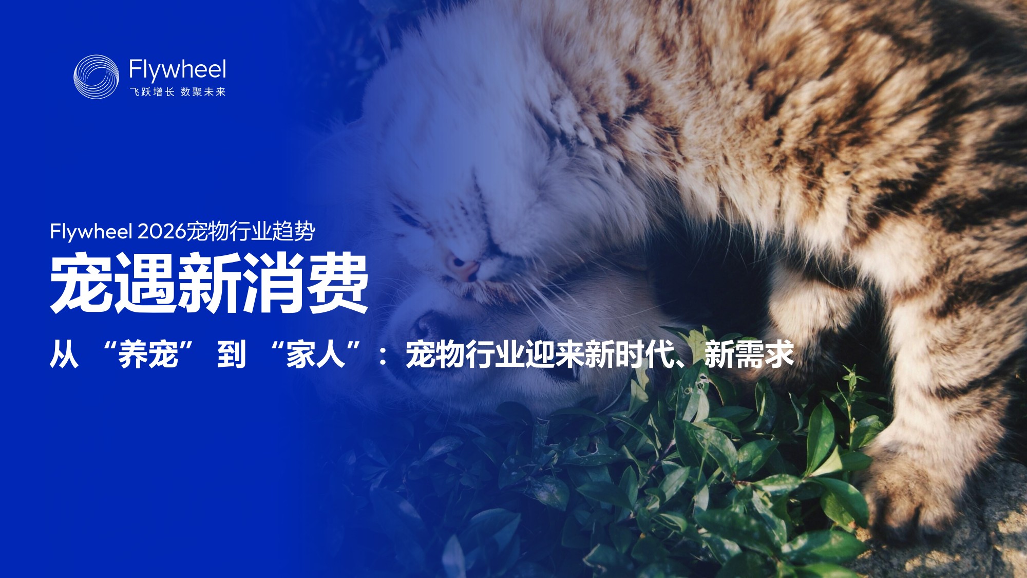 2026宠物行业趋势-宠遇新消费-从“养宠”到“家人”-宠物行业迎来新时代、新需求.pdf