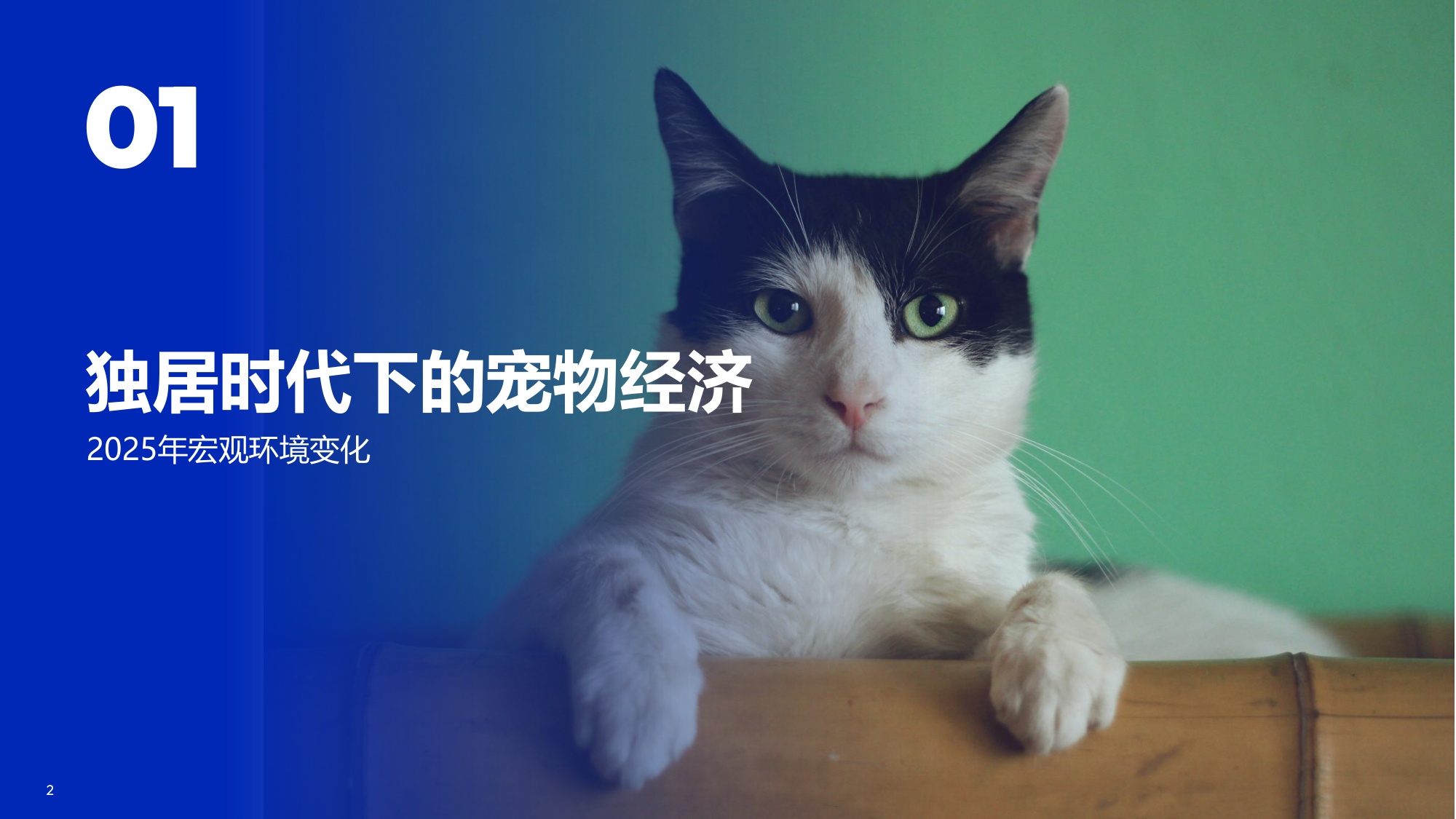 2026宠物行业趋势-宠遇新消费-从“养宠”到“家人”-宠物行业迎来新时代、新需求.pdf