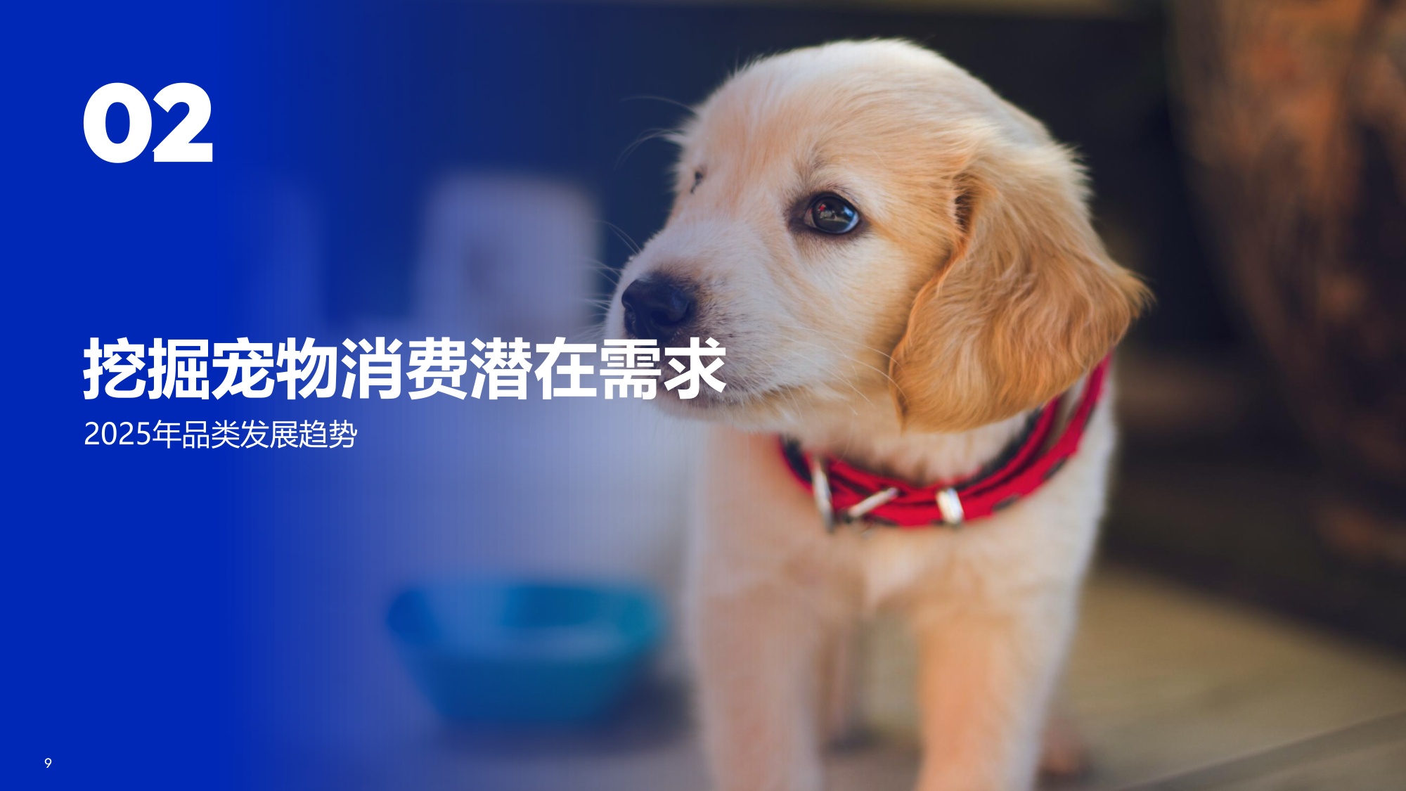 2026宠物行业趋势-宠遇新消费-从“养宠”到“家人”-宠物行业迎来新时代、新需求.pdf