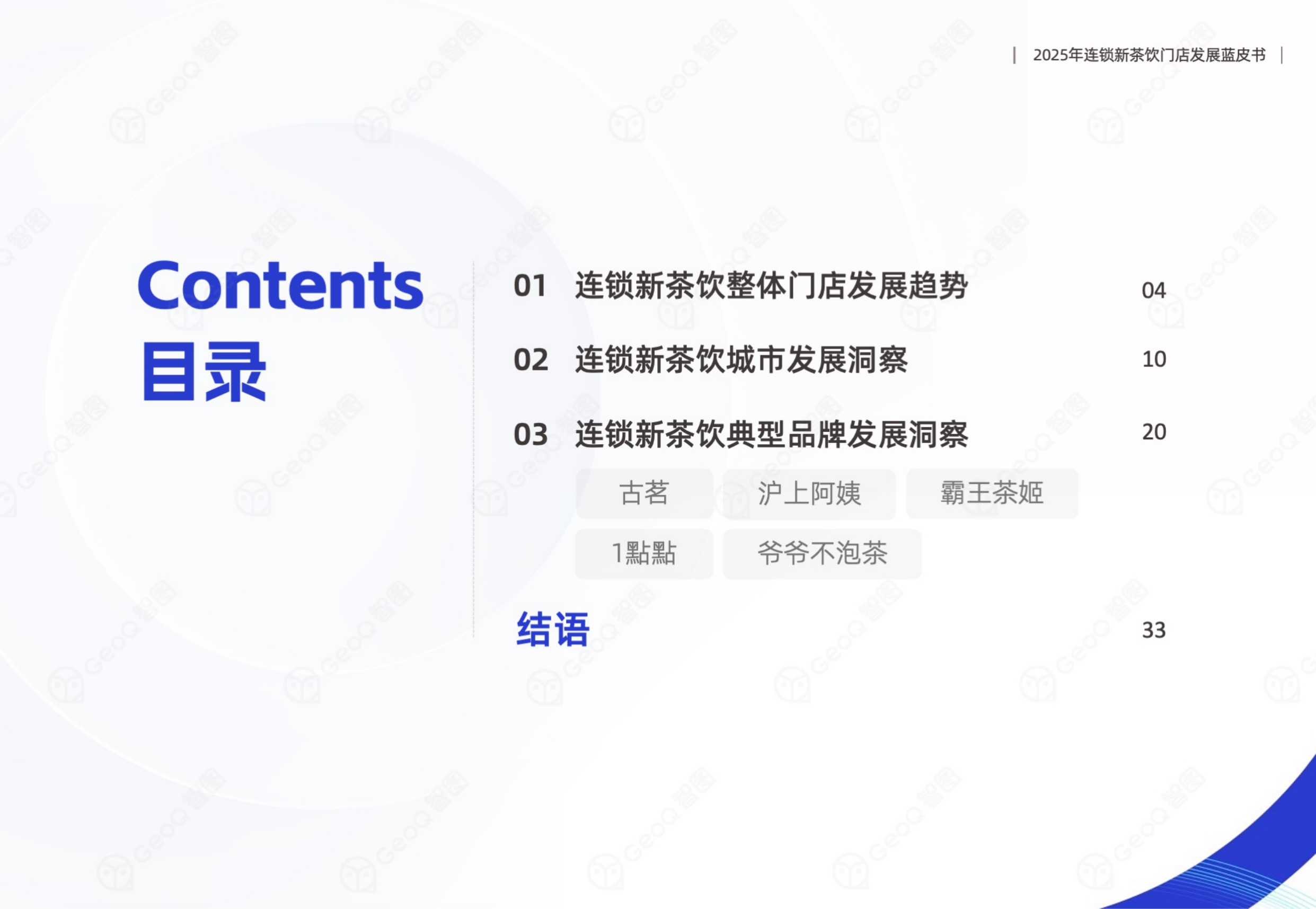 GeoQ智图：2025年连锁新茶饮门店发展蓝皮书.pdf