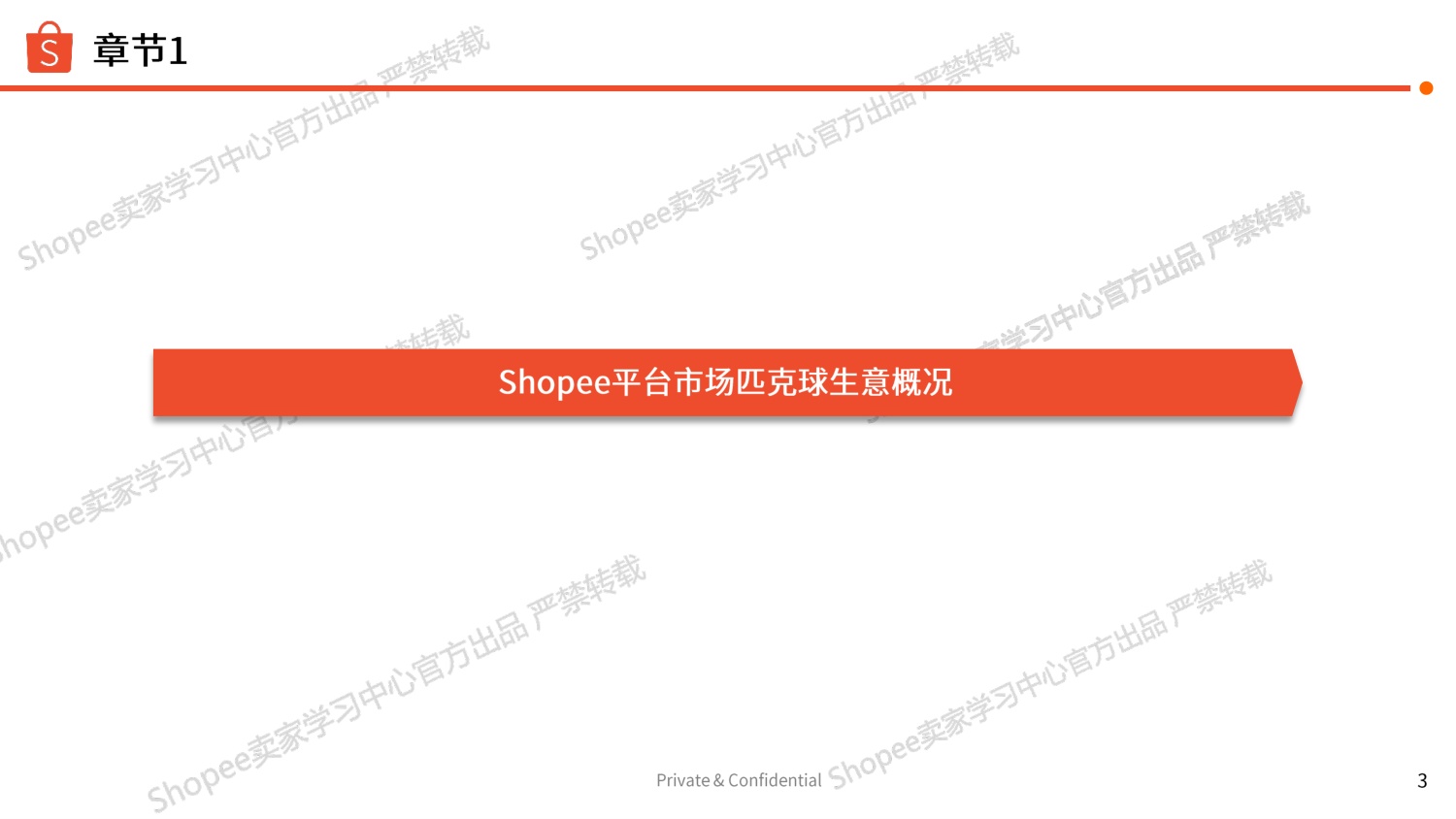 Shopee：2026年匹克球品类选品参考报告.pdf
