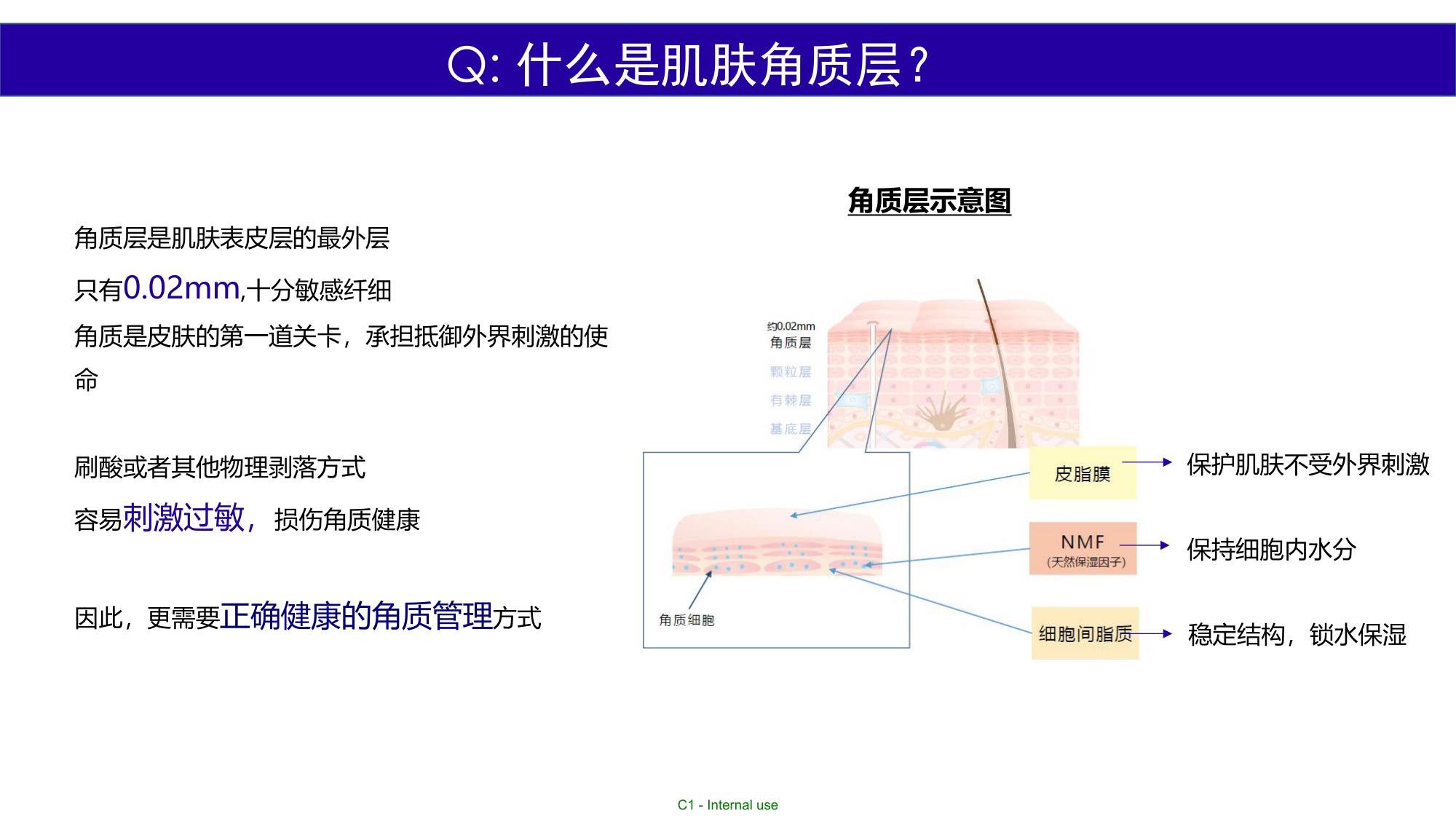 TAKAMI12月小红书达人推广.pdf