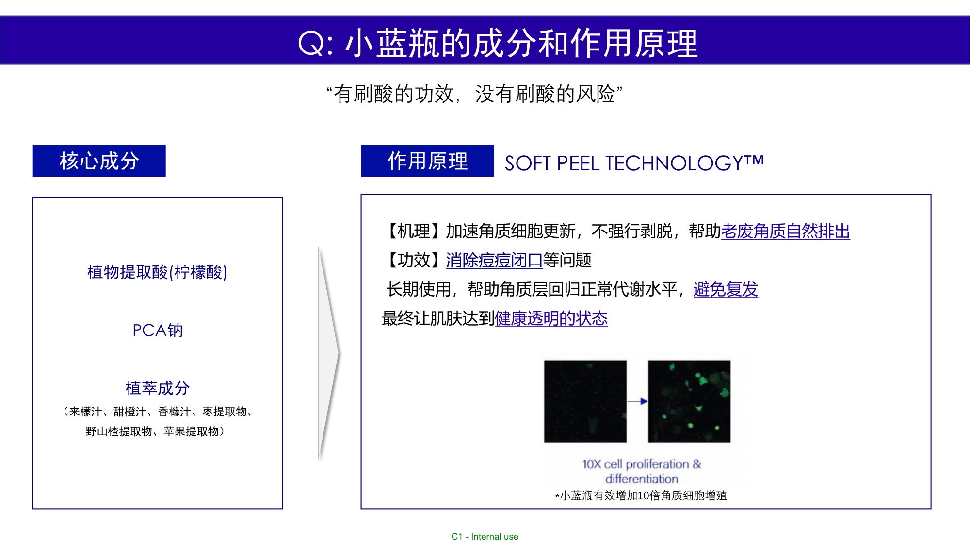 TAKAMI12月小红书达人推广.pdf