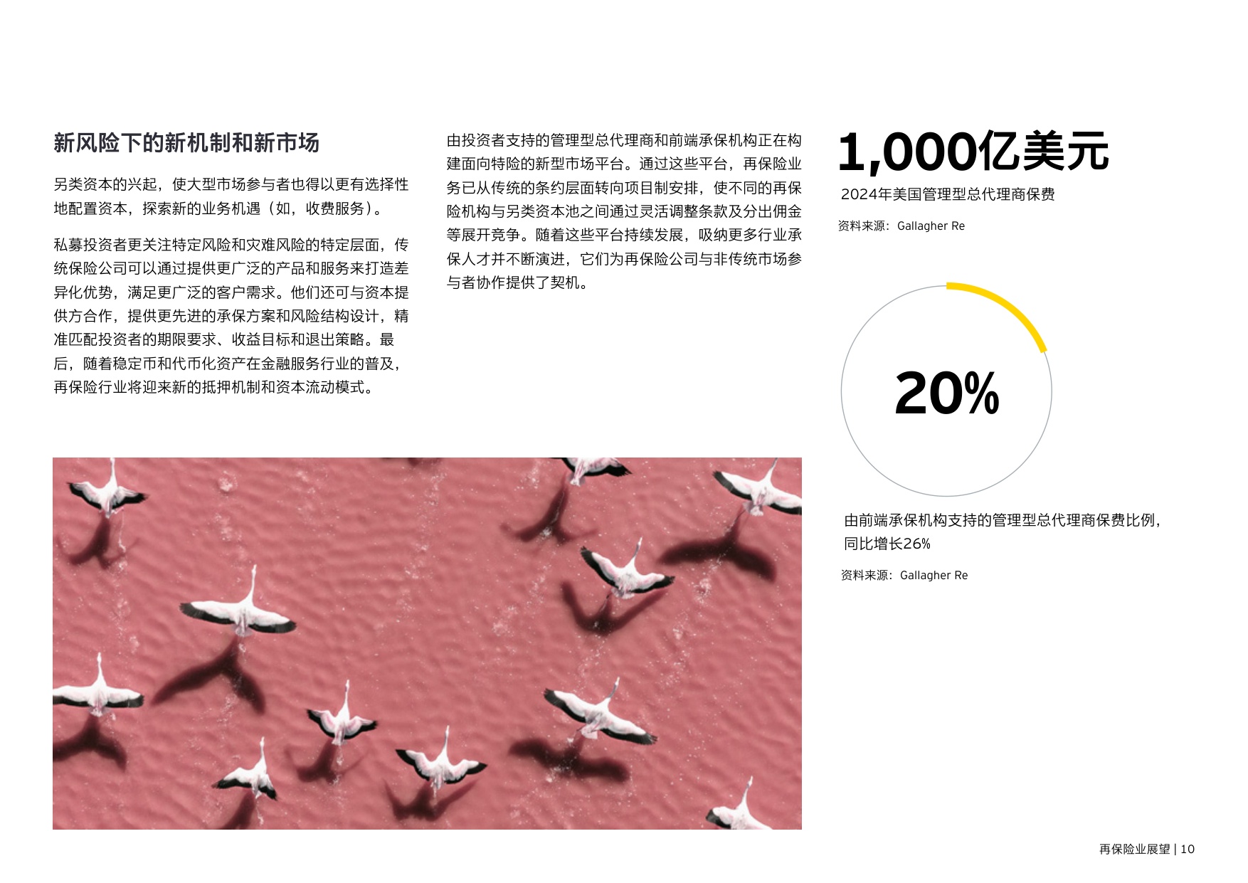 安永：2026年再保险业展望报告.pdf