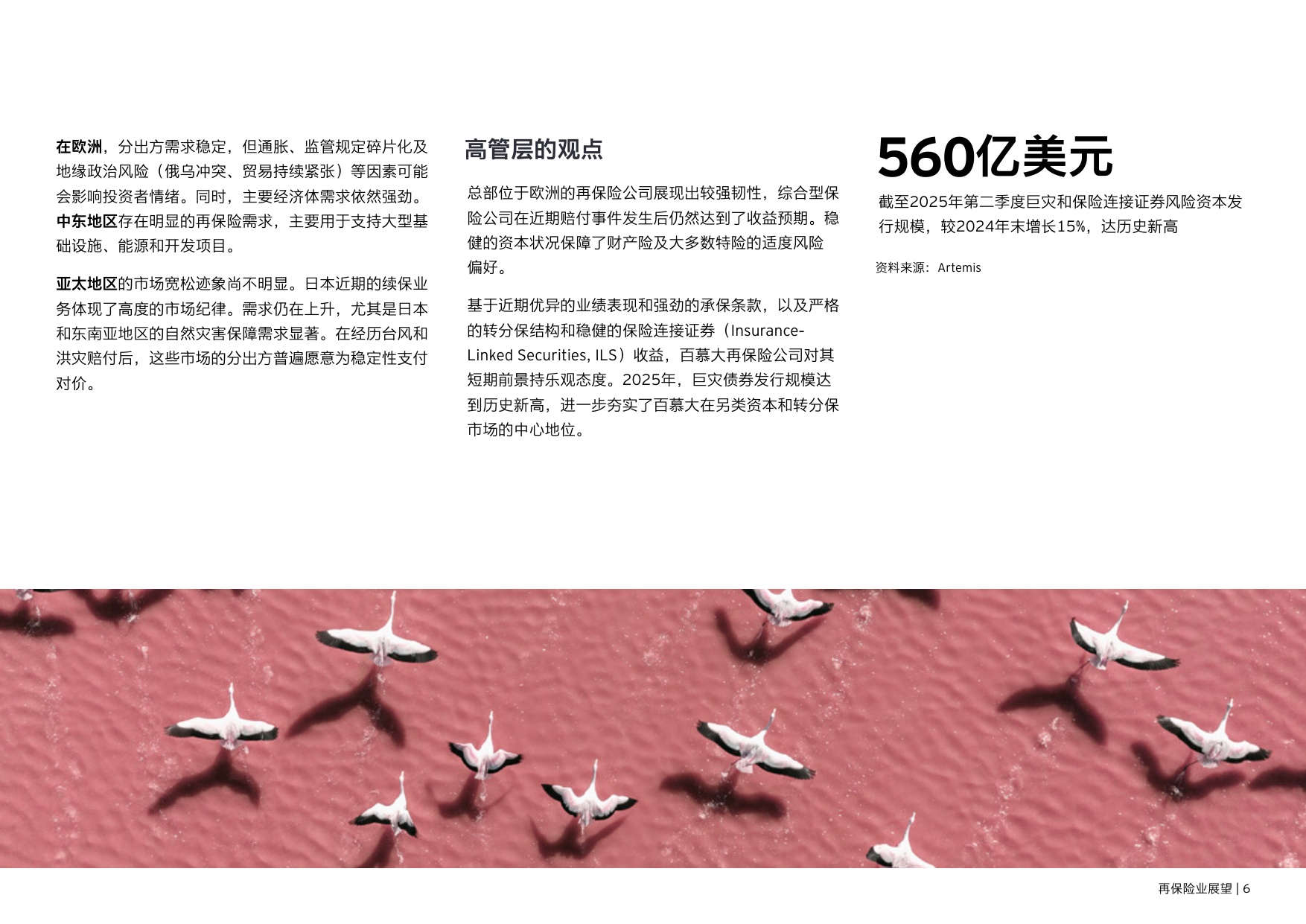 安永：2026年再保险业展望报告.pdf