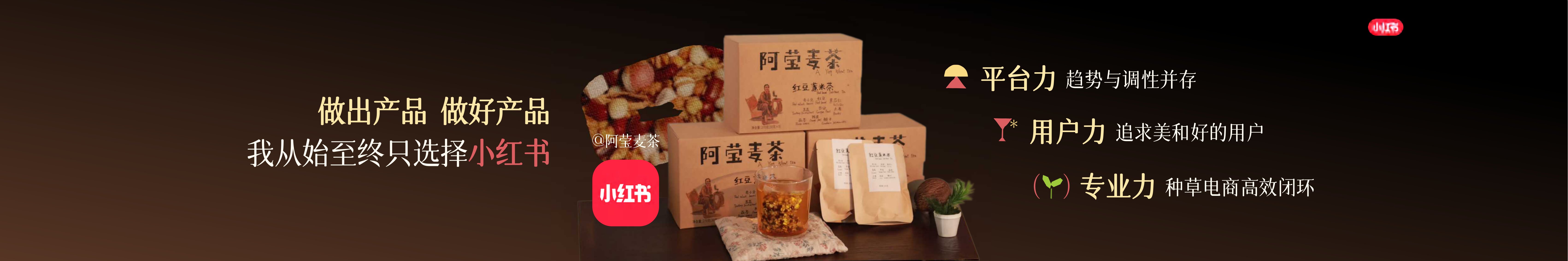 【小红书商业食饮大会】阿莹麦茶-莹在小红书+好产品种出大市场.pdf