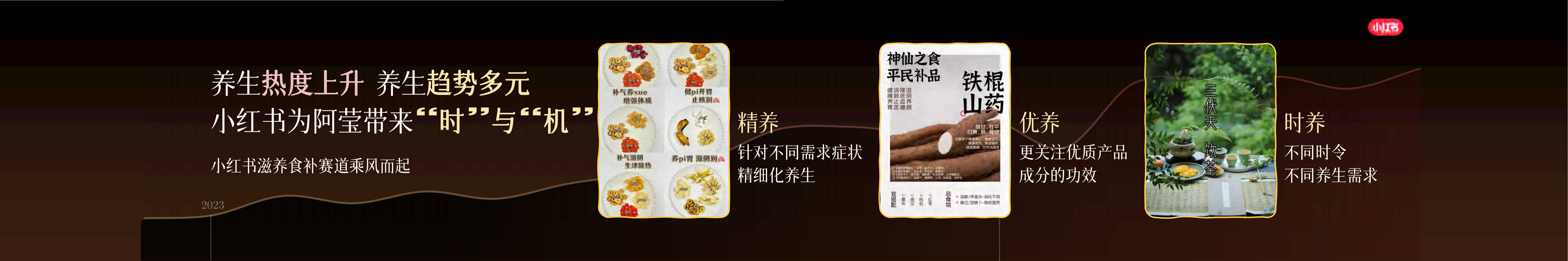 【小红书商业食饮大会】阿莹麦茶-莹在小红书+好产品种出大市场.pdf