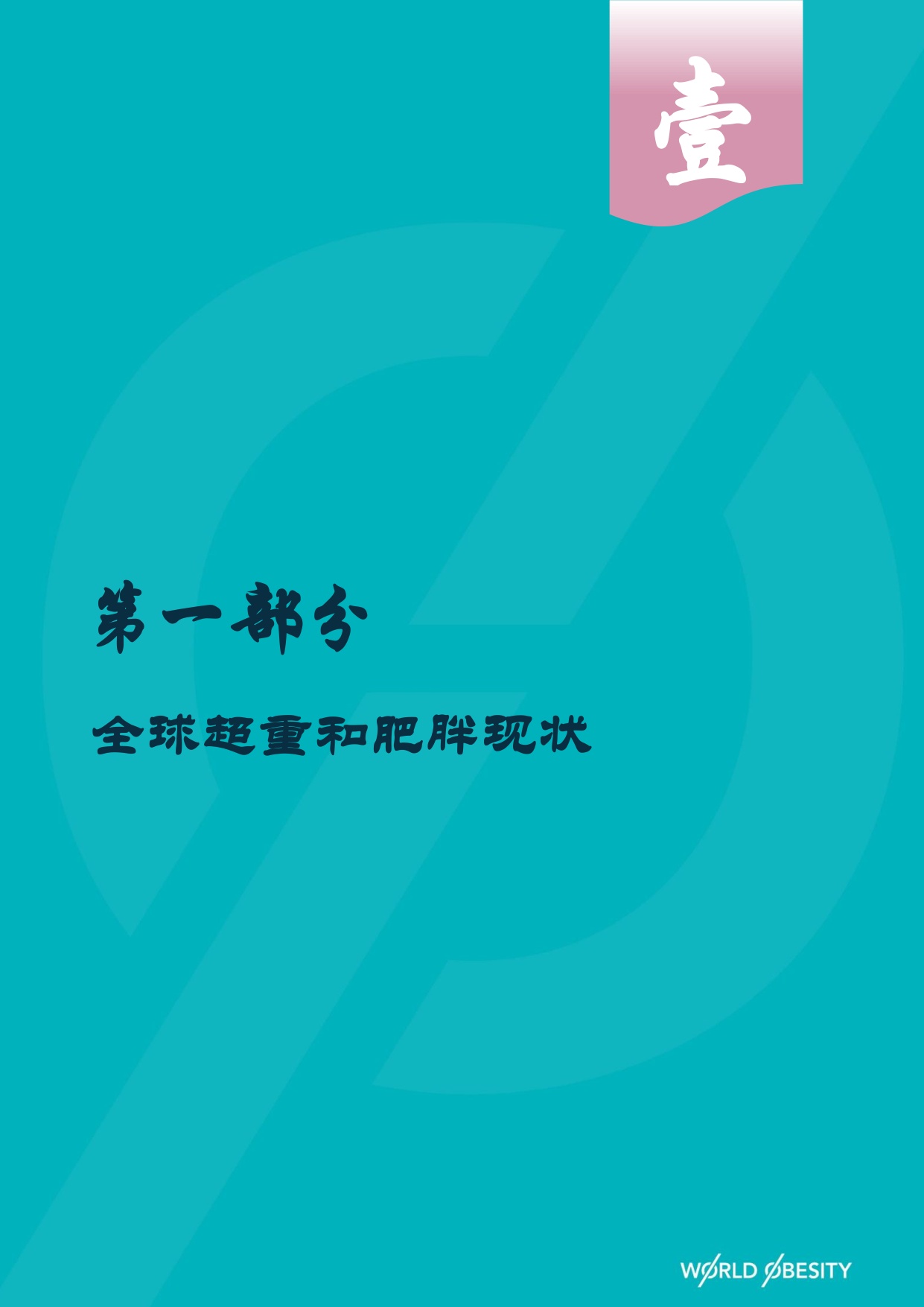 世界肥胖联合会-2025年世界肥胖报告-90页.pdf