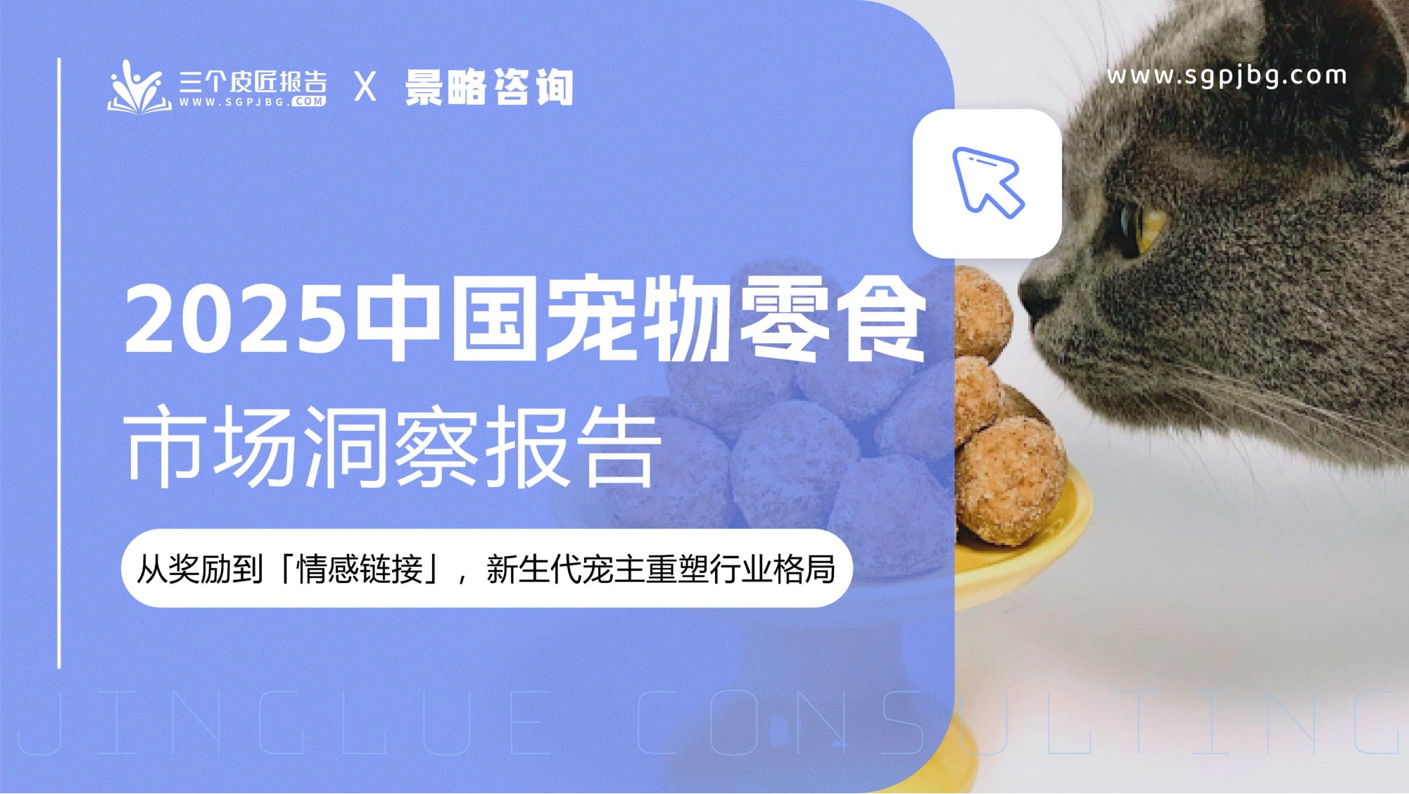 2025中国宠物零食市场洞察报告.pdf