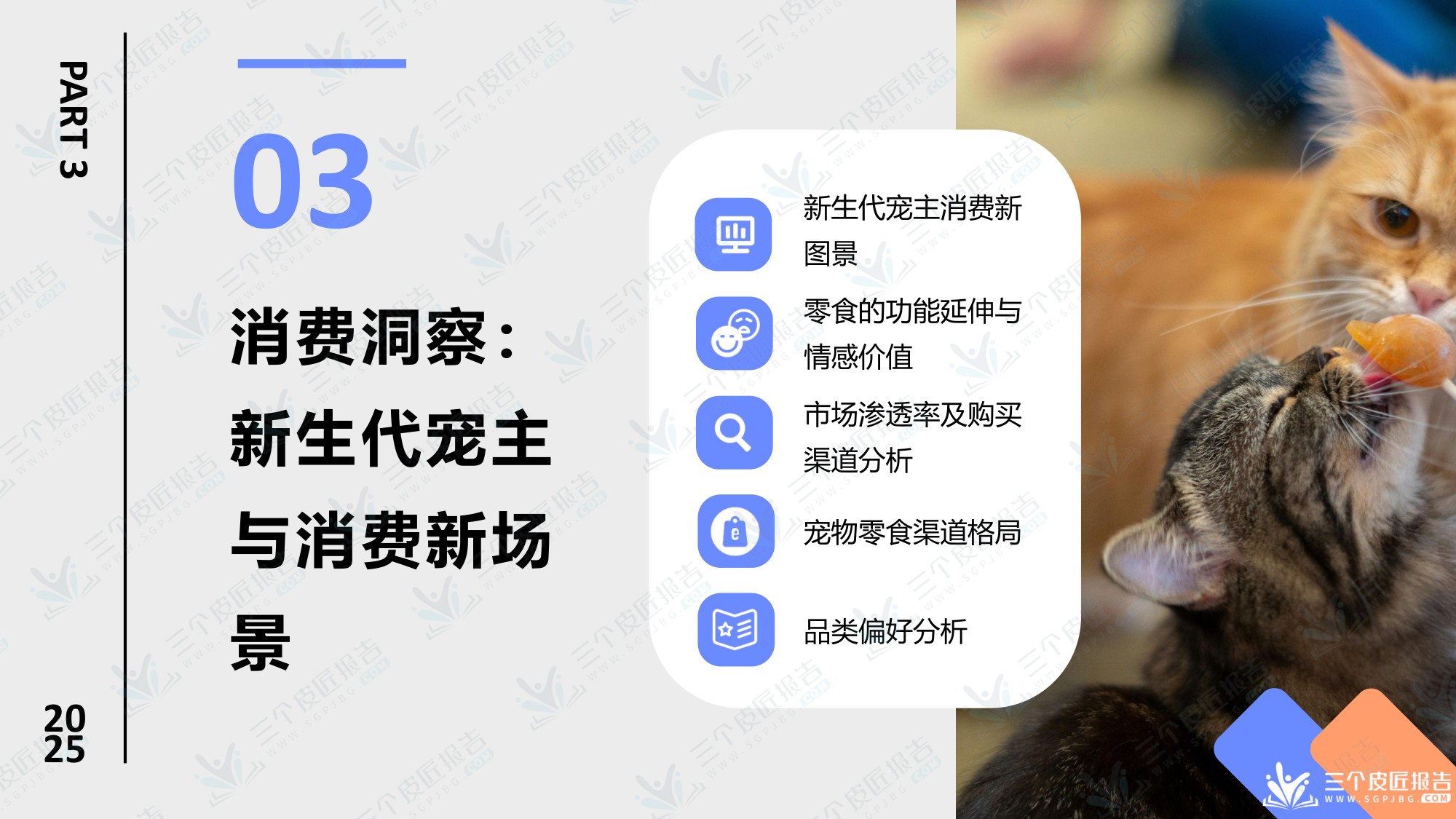 2025中国宠物零食市场洞察报告.pdf