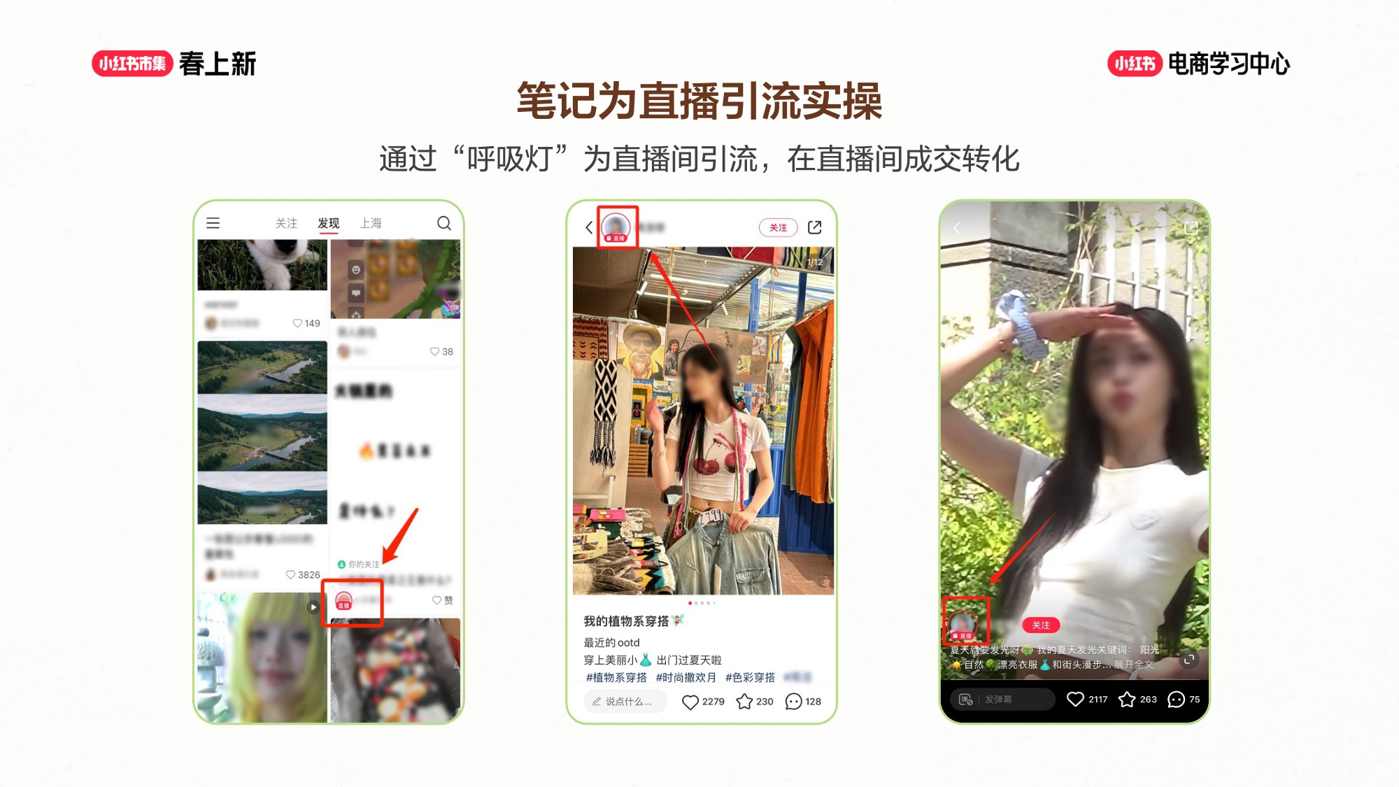 小红书笔记 + 商直联动，种草到成交闭环.pdf