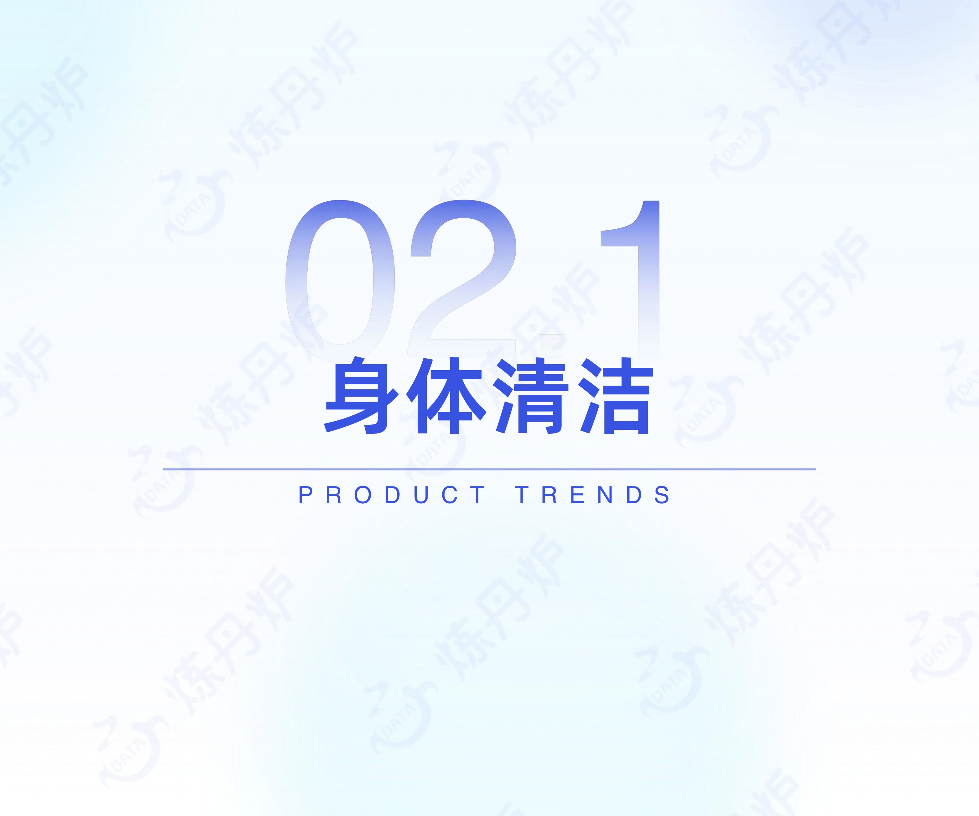 2026个人洗护行业数据洞察-炼丹炉.pdf