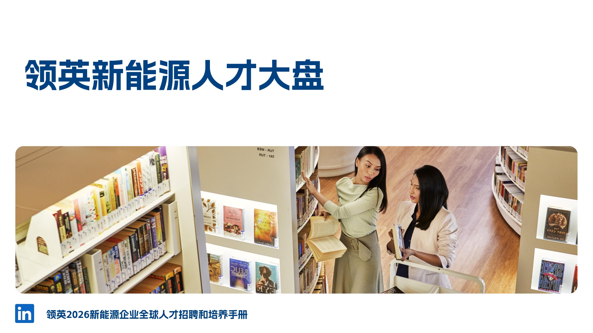 2026年新能源人才全球本地化策略-46页PPT.pdf