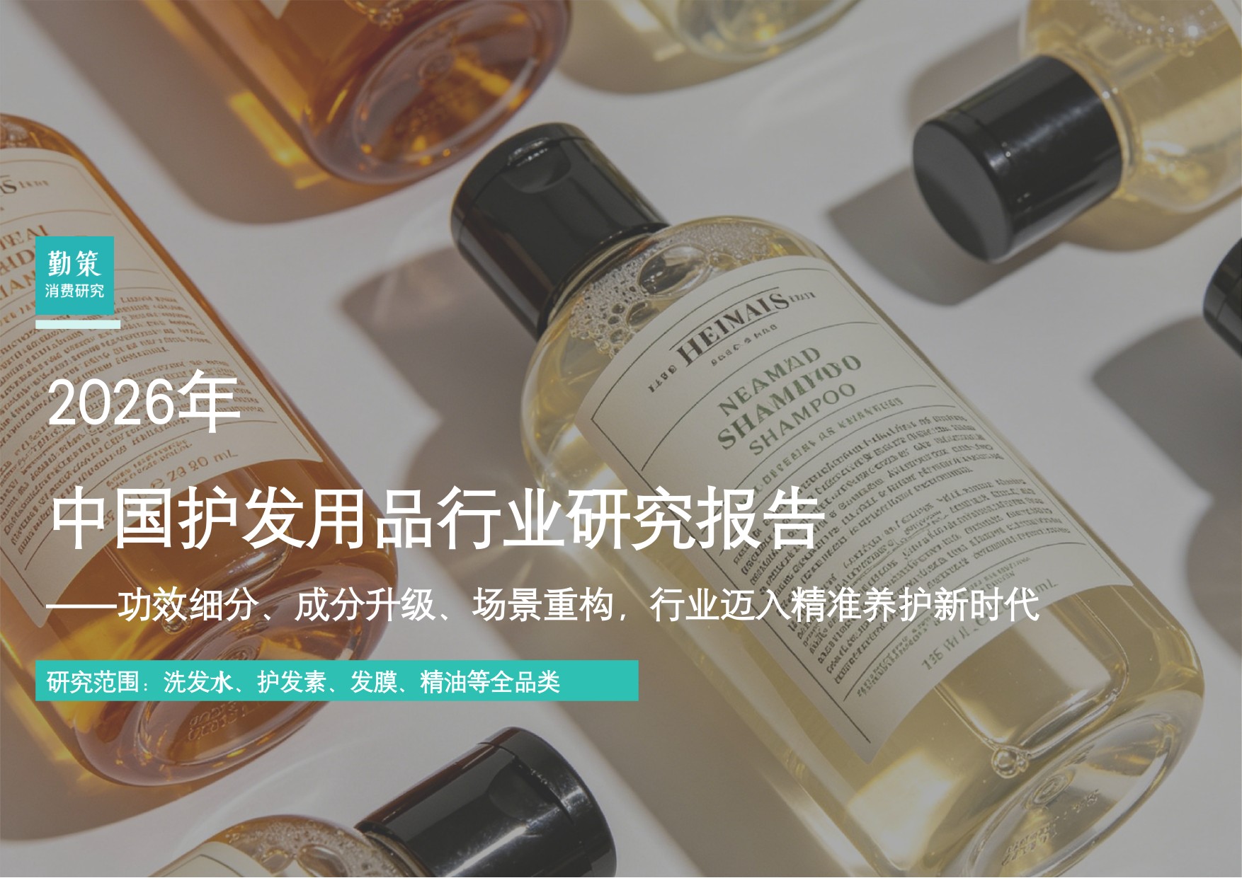 2026年中国护发用品行业研究报告.pdf