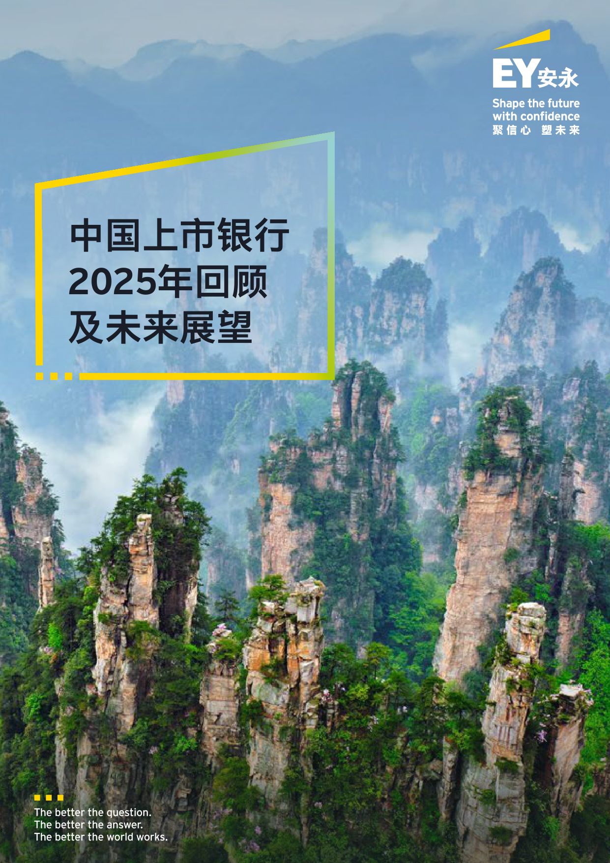 EY安永：中国上市银行2025年回顾与未来展望报告.pdf