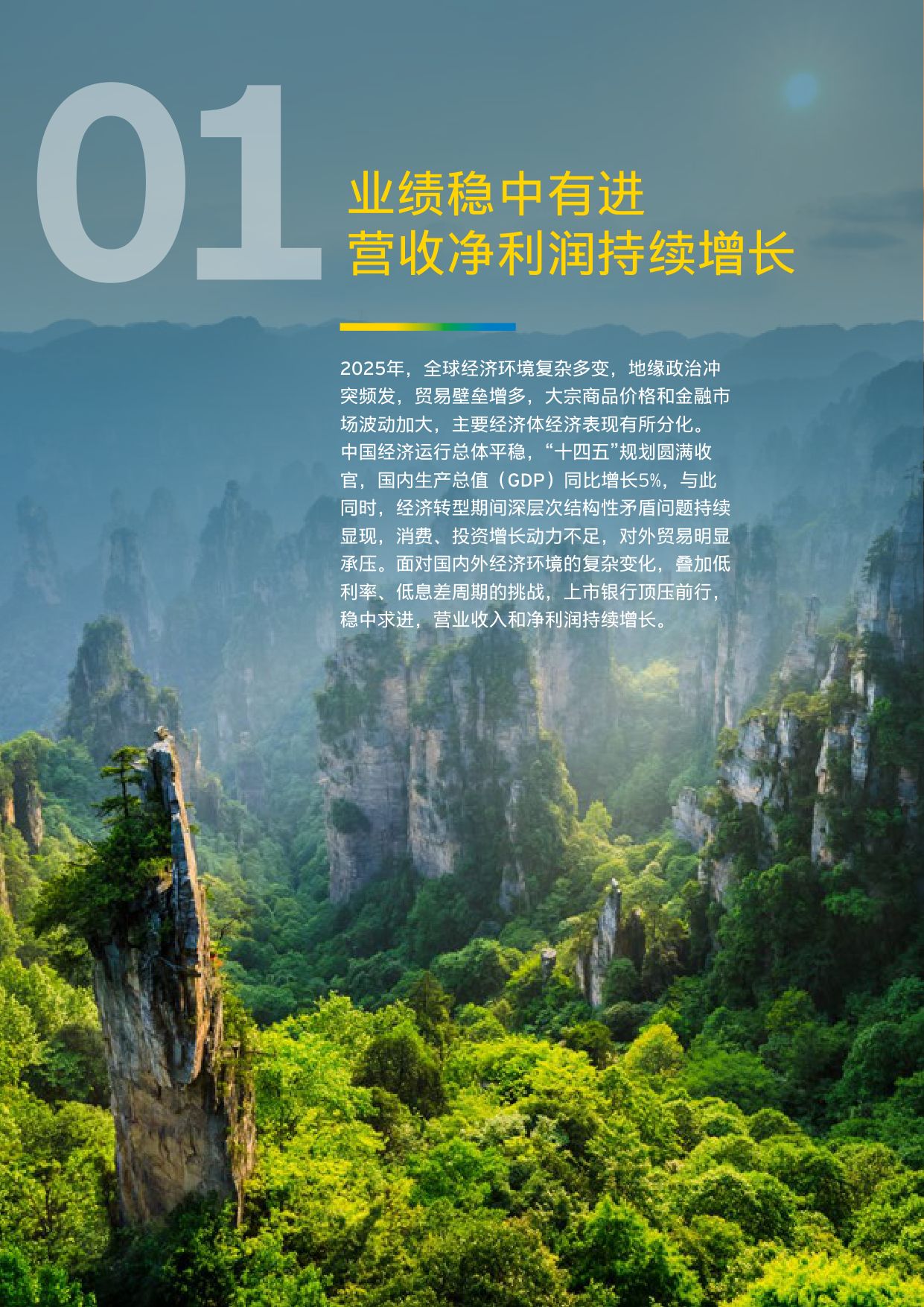 EY安永：中国上市银行2025年回顾与未来展望报告.pdf