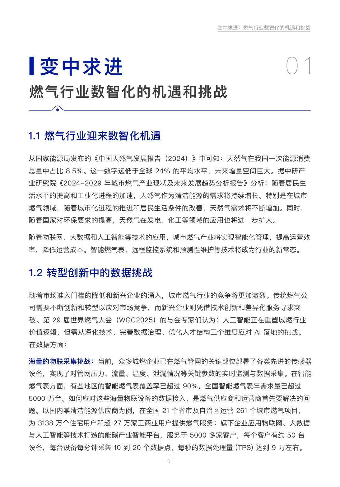 TDengine：2026年智慧燃气行业白皮书-点燃数据新功能.pdf