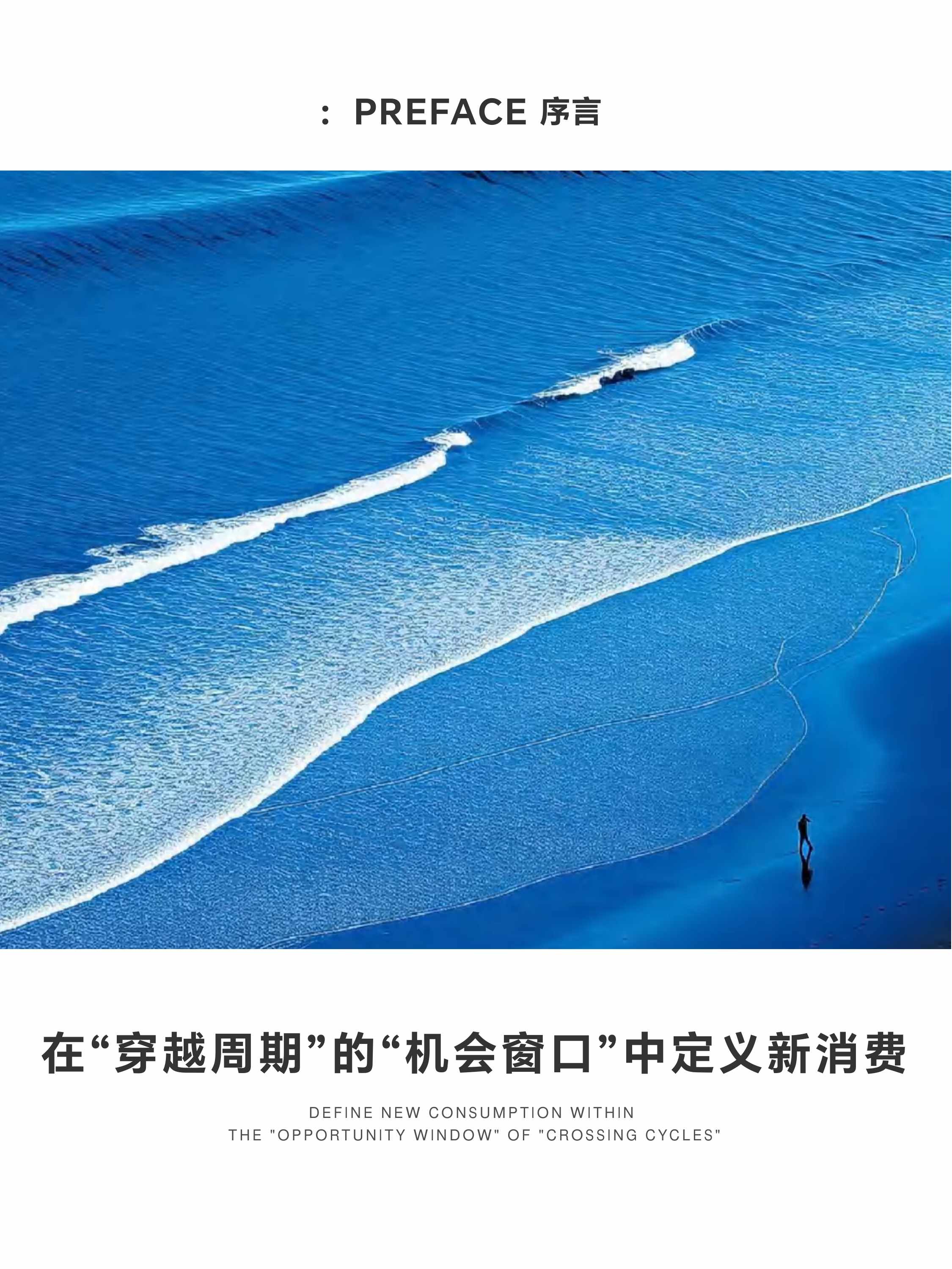 浙江省新消费品牌研究院2025年度案例报告-新消费研究院.pdf