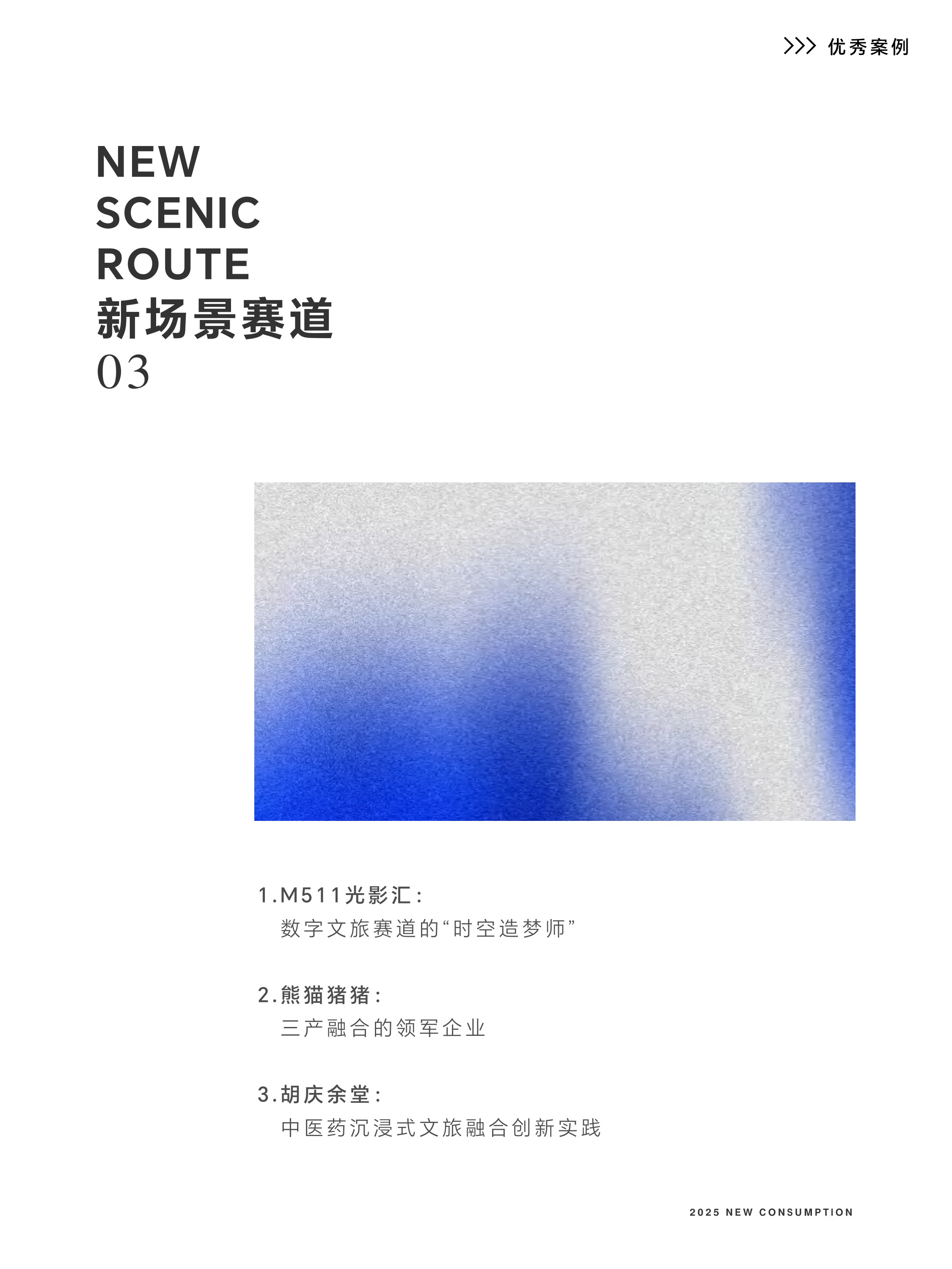 浙江省新消费品牌研究院2025年度案例报告-新消费研究院.pdf