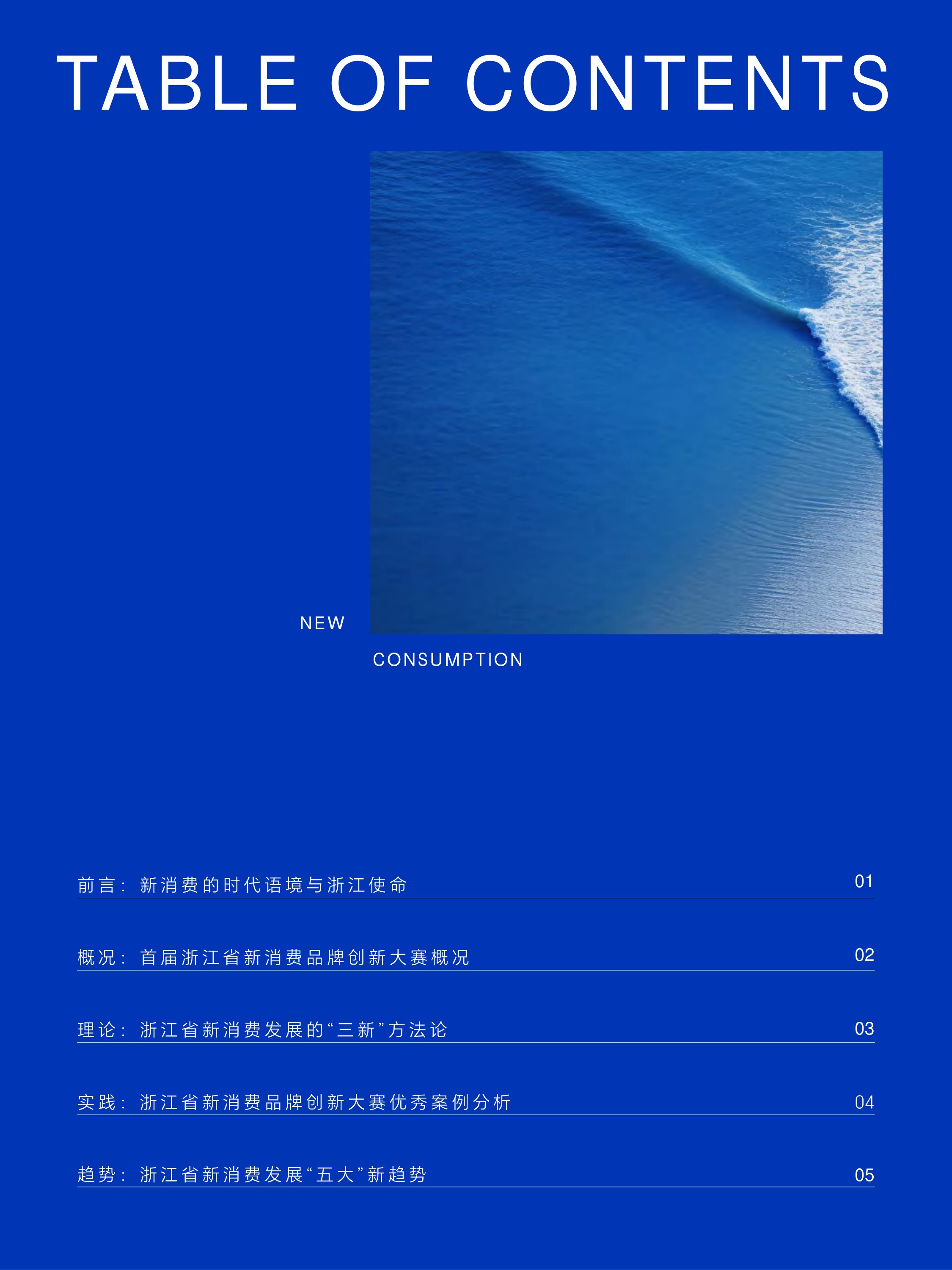 浙江省新消费品牌研究院2025年度案例报告-新消费研究院.pdf