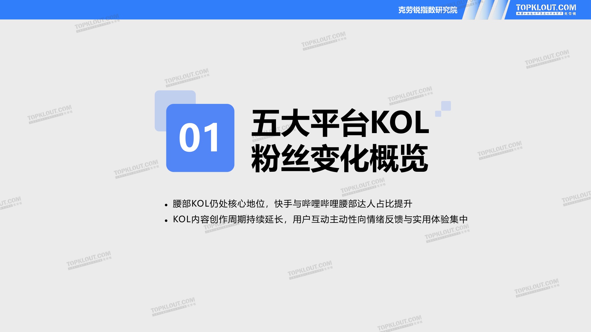 2026五大平台KOL粉丝粉丝研究报告.pdf