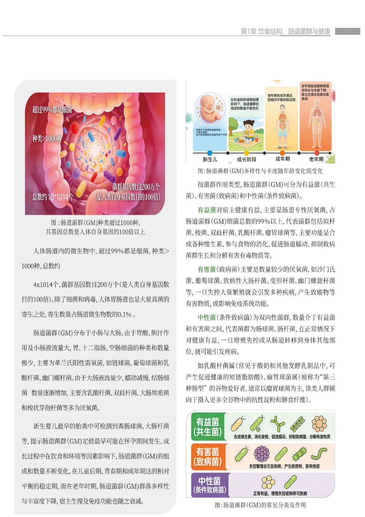 蜜欢健康2026肠道环境与健康白皮书54页.pdf