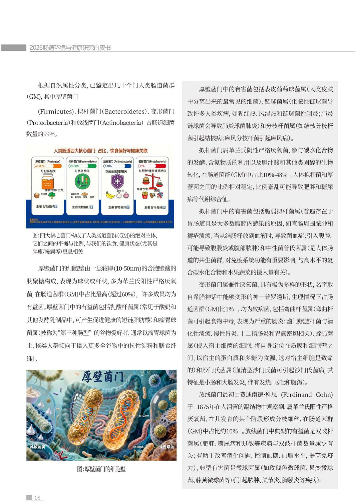 蜜欢健康2026肠道环境与健康白皮书54页.pdf