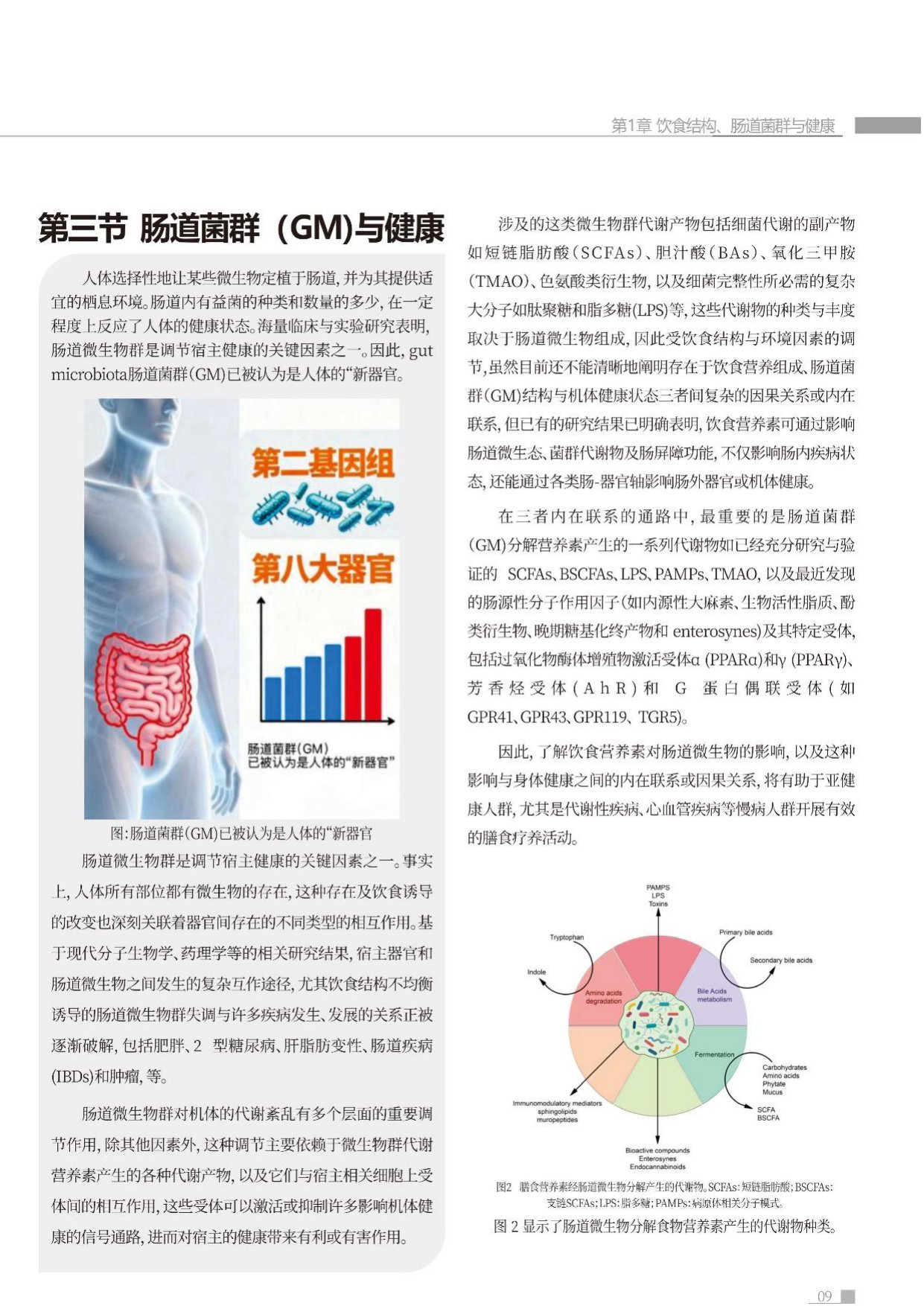 蜜欢健康2026肠道环境与健康白皮书54页.pdf