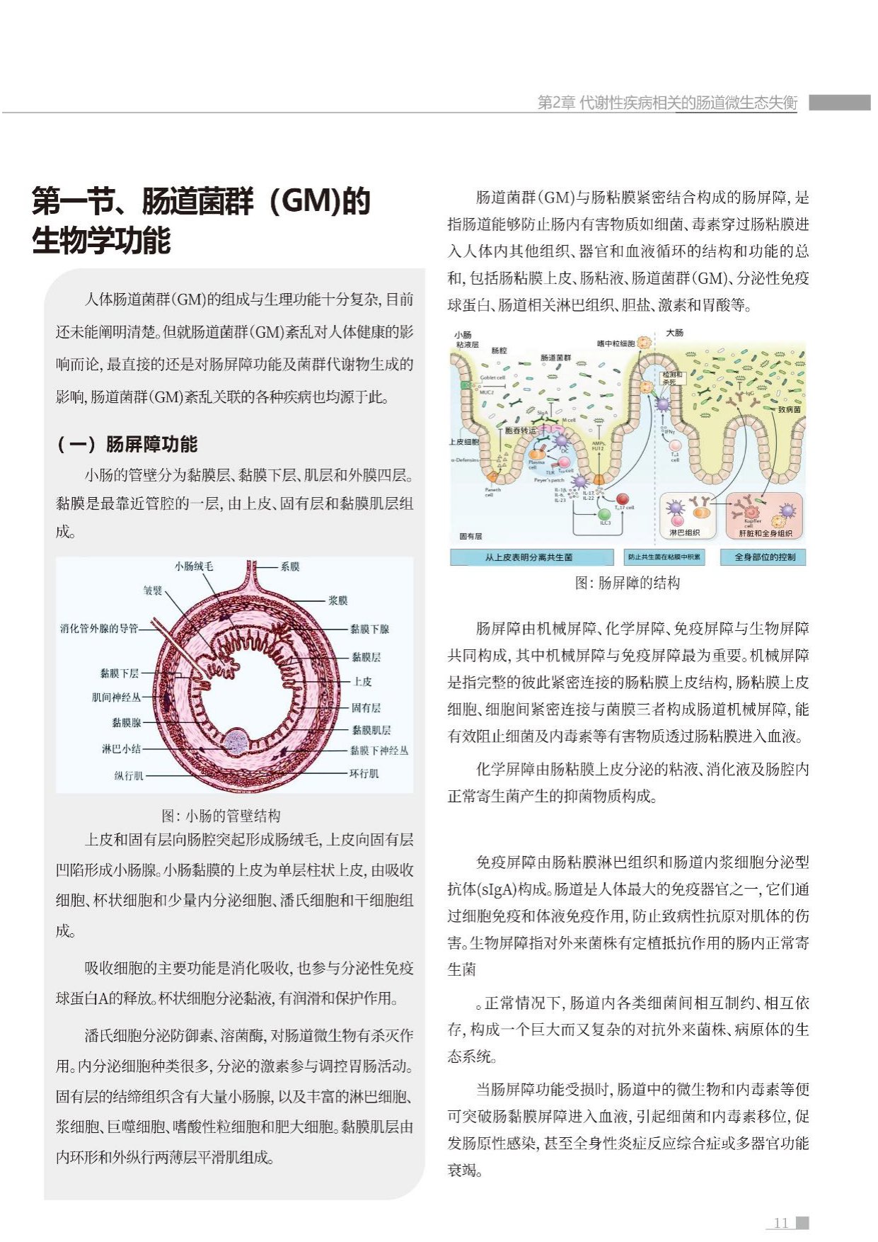蜜欢健康2026肠道环境与健康白皮书54页.pdf