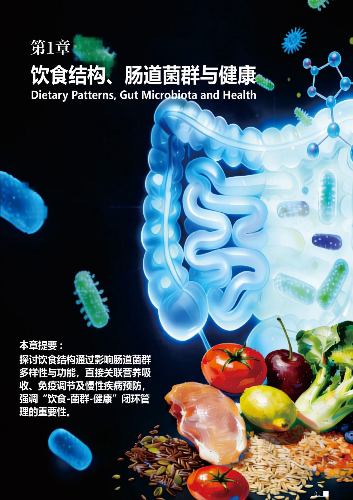 蜜欢健康2026肠道环境与健康白皮书54页.pdf