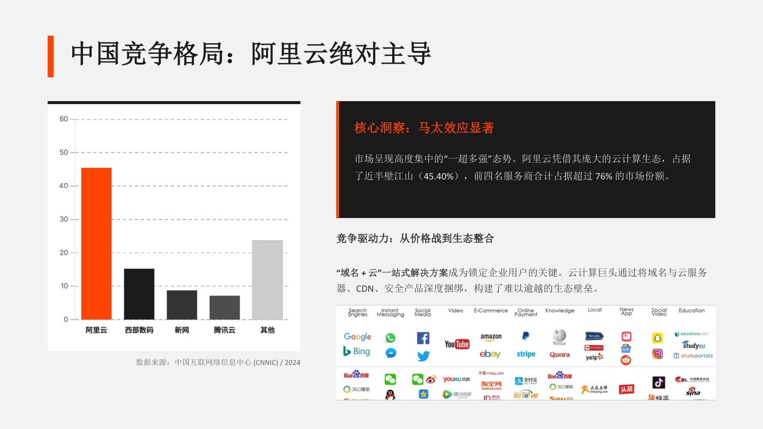 全球与中国域名市场研究报告（AI驱动的数字身份变革2024-2025）.pdf