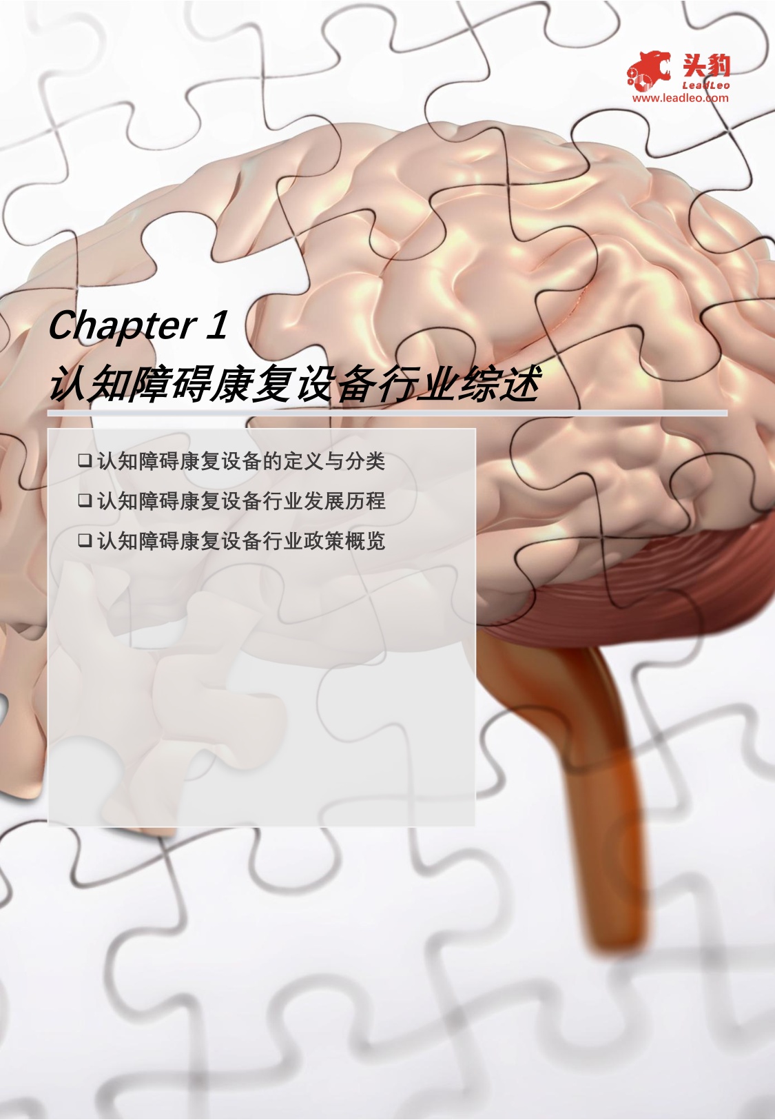 中国认知障碍康复设备行业概览：老年人口增长，如何满足市场对认知障碍康复设备不断上升的需求？.pdf