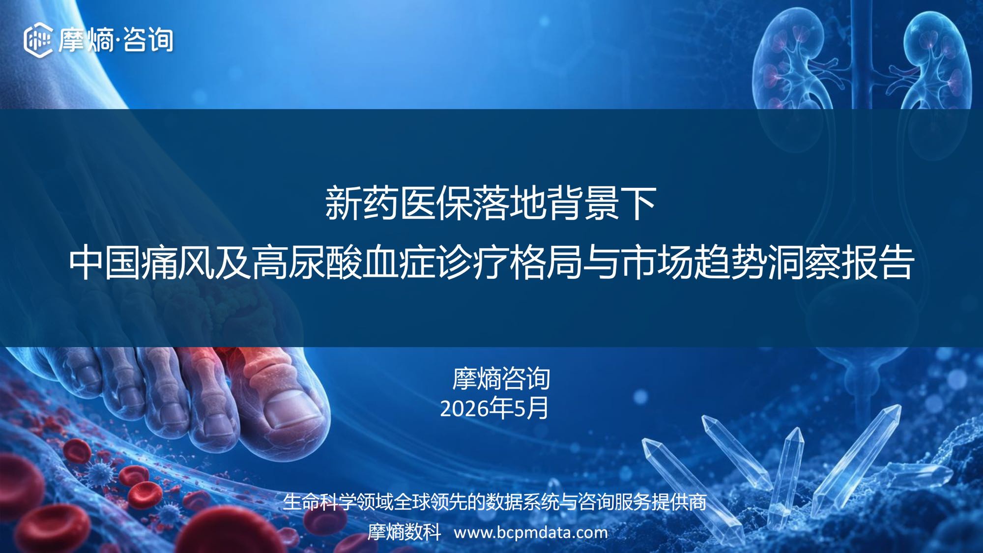 2026新药医保落地背景下中国痛风及高尿酸血症诊疗格局与市场趋势洞察报告-摩熵咨询.pdf
