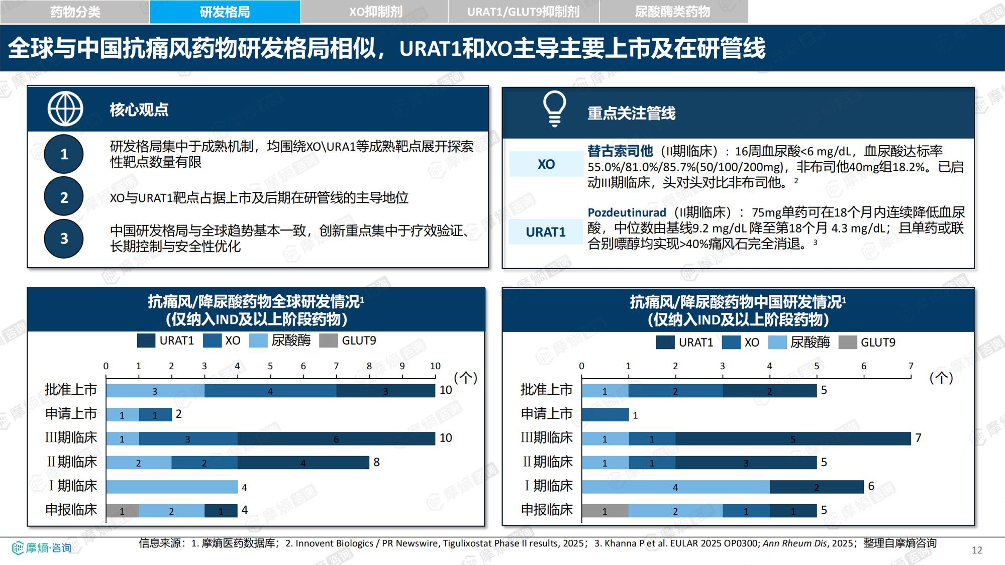 2026新药医保落地背景下中国痛风及高尿酸血症诊疗格局与市场趋势洞察报告-摩熵咨询.pdf