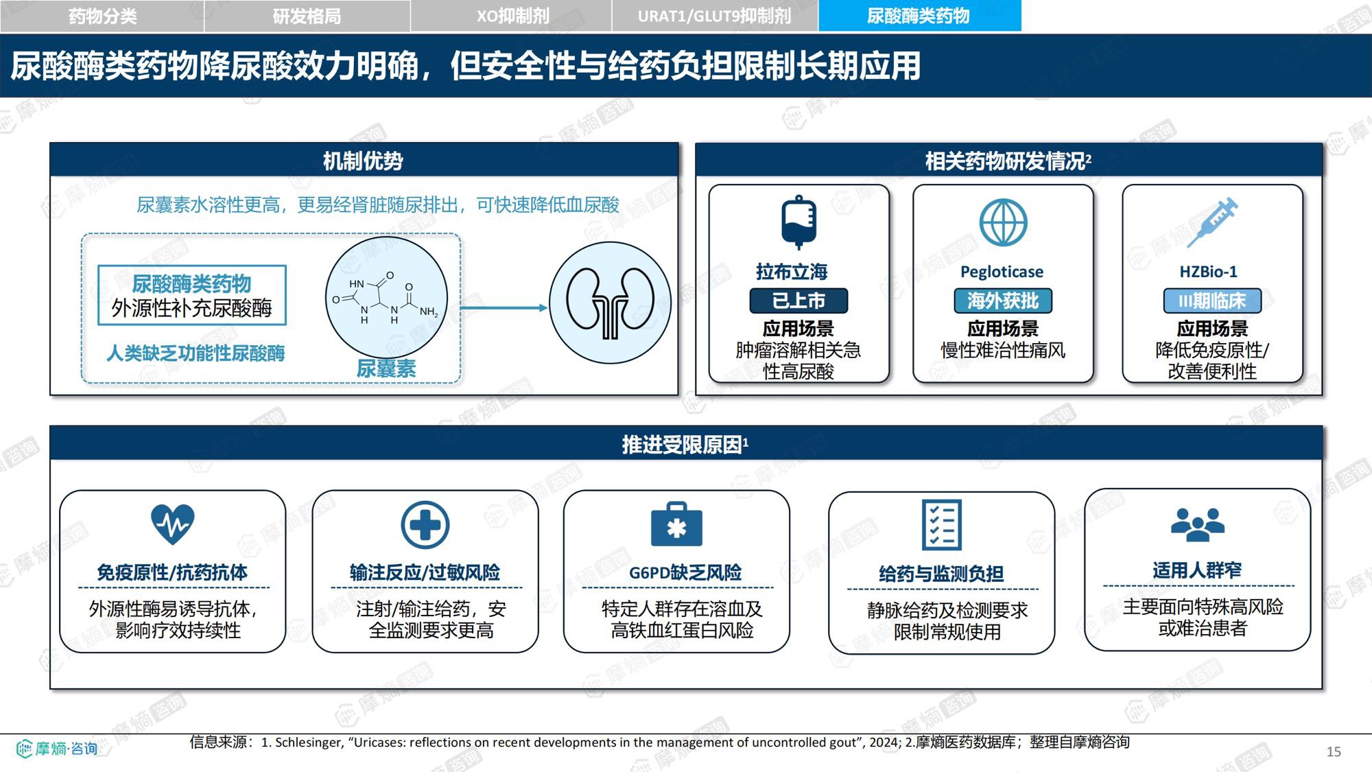 2026新药医保落地背景下中国痛风及高尿酸血症诊疗格局与市场趋势洞察报告-摩熵咨询.pdf