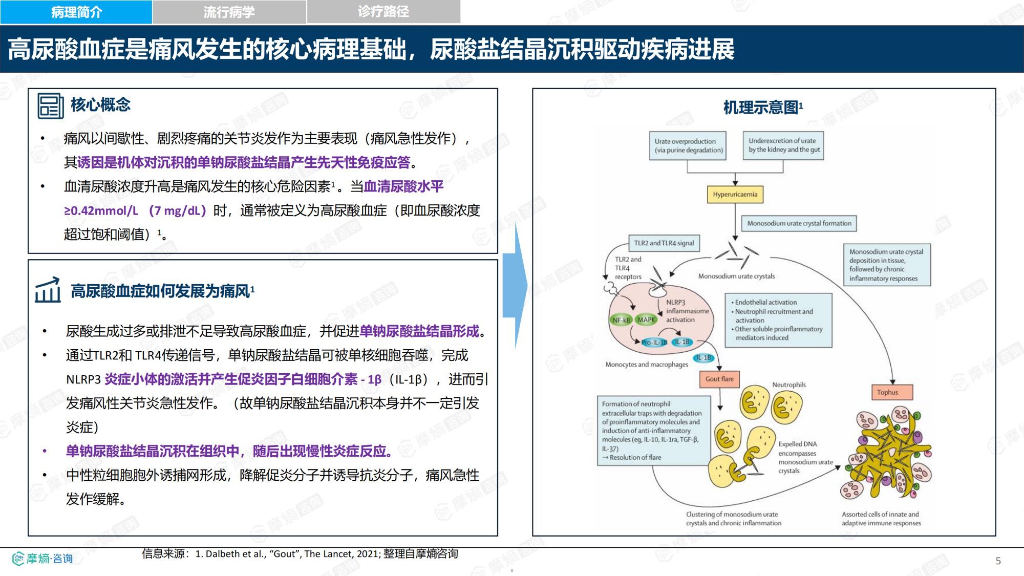 2026新药医保落地背景下中国痛风及高尿酸血症诊疗格局与市场趋势洞察报告-摩熵咨询.pdf
