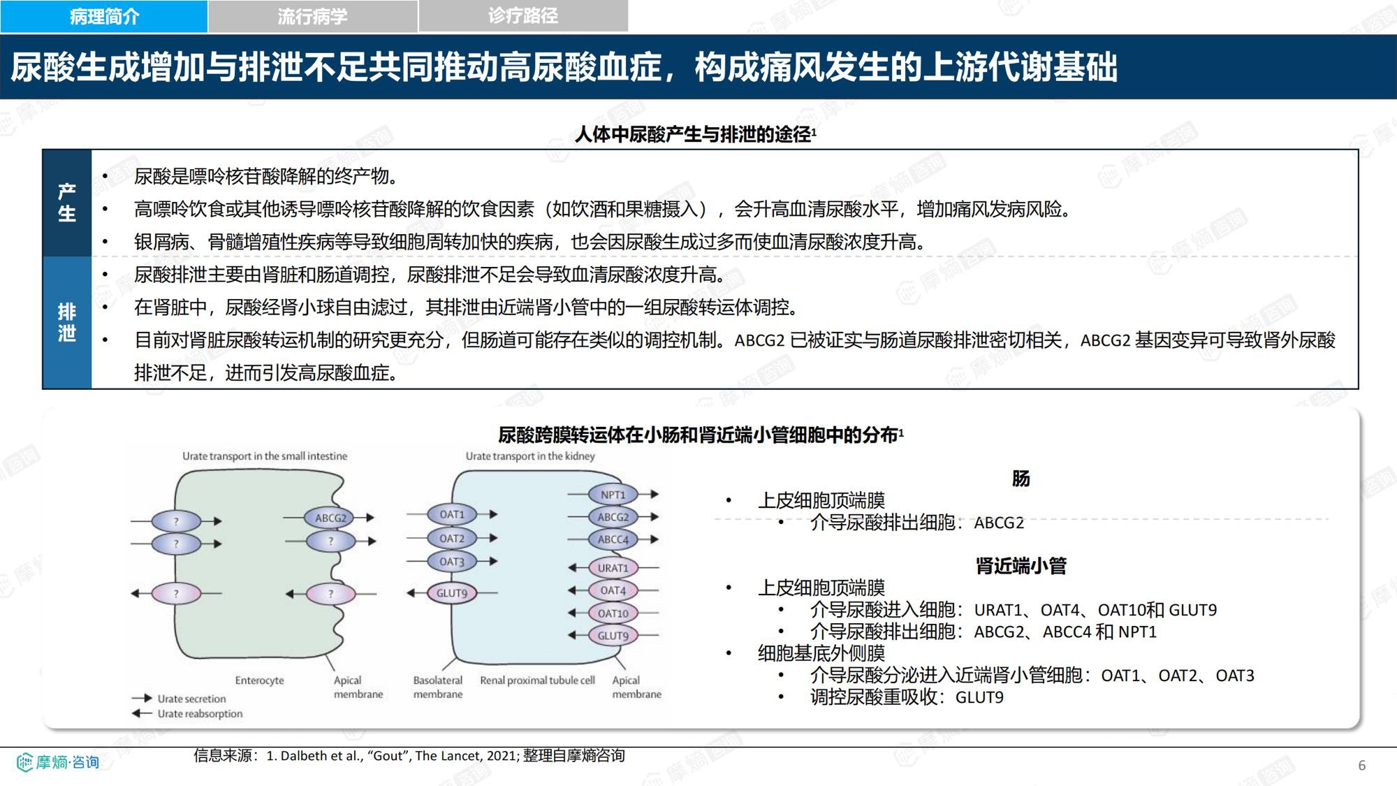 2026新药医保落地背景下中国痛风及高尿酸血症诊疗格局与市场趋势洞察报告-摩熵咨询.pdf