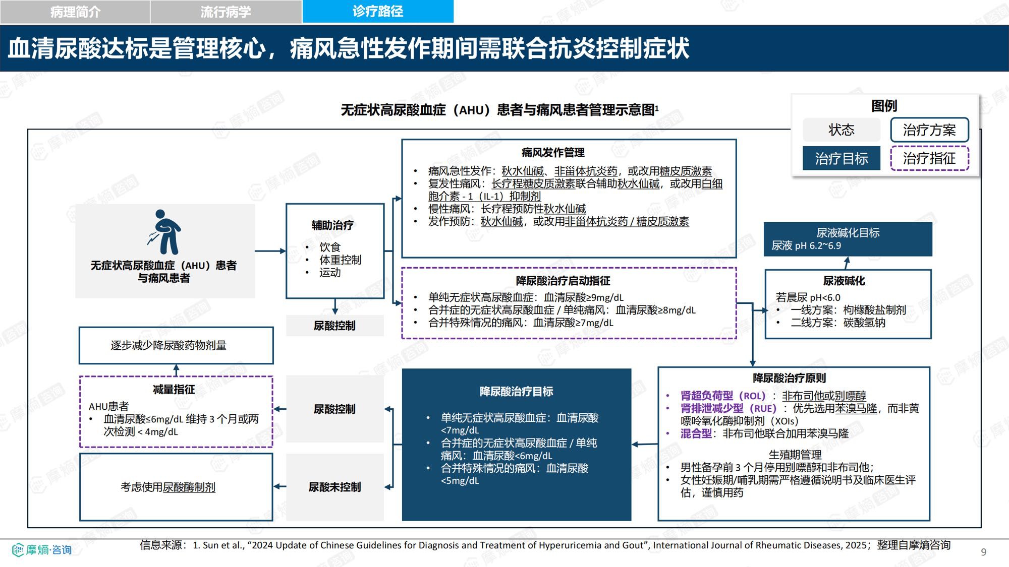 2026新药医保落地背景下中国痛风及高尿酸血症诊疗格局与市场趋势洞察报告-摩熵咨询.pdf