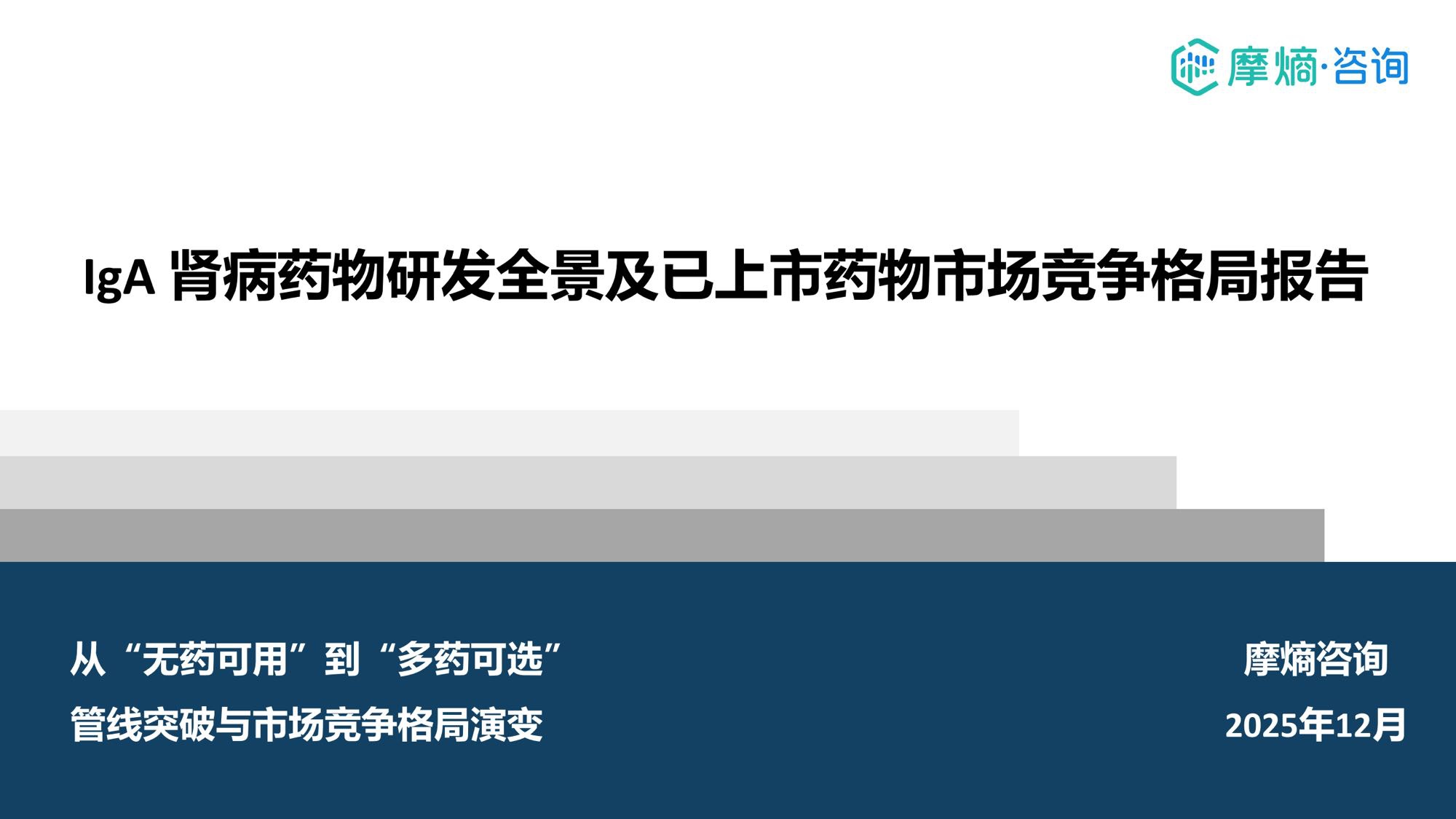 摩熵咨询2025年IgA肾病药物研发全景及已上市药物市场竞争格局报告31页.pdf