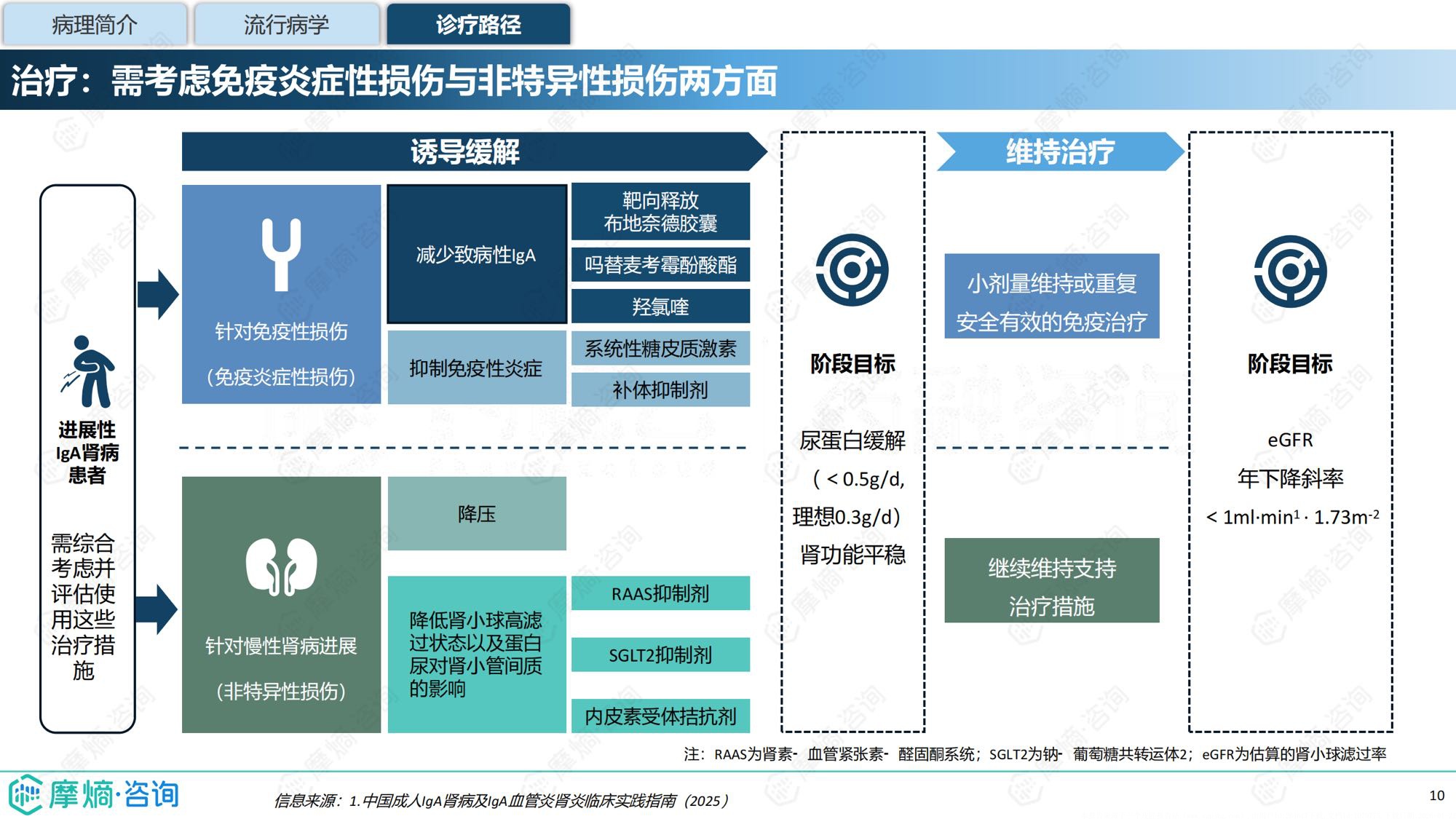 摩熵咨询2025年IgA肾病药物研发全景及已上市药物市场竞争格局报告31页.pdf