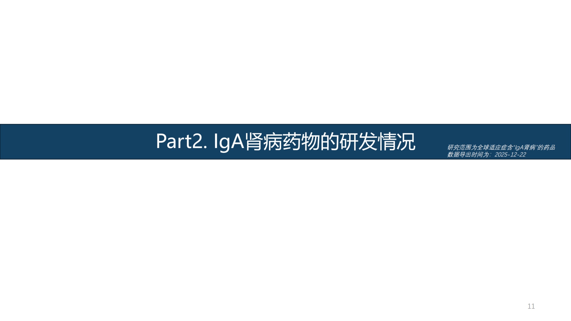 摩熵咨询2025年IgA肾病药物研发全景及已上市药物市场竞争格局报告31页.pdf