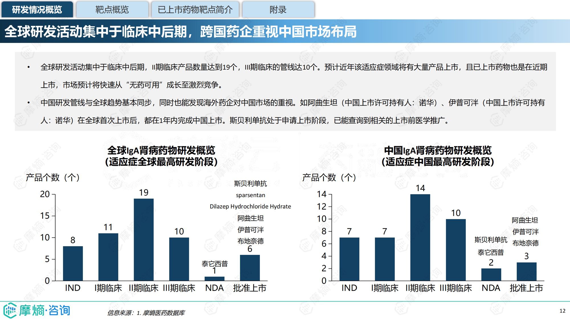 摩熵咨询2025年IgA肾病药物研发全景及已上市药物市场竞争格局报告31页.pdf