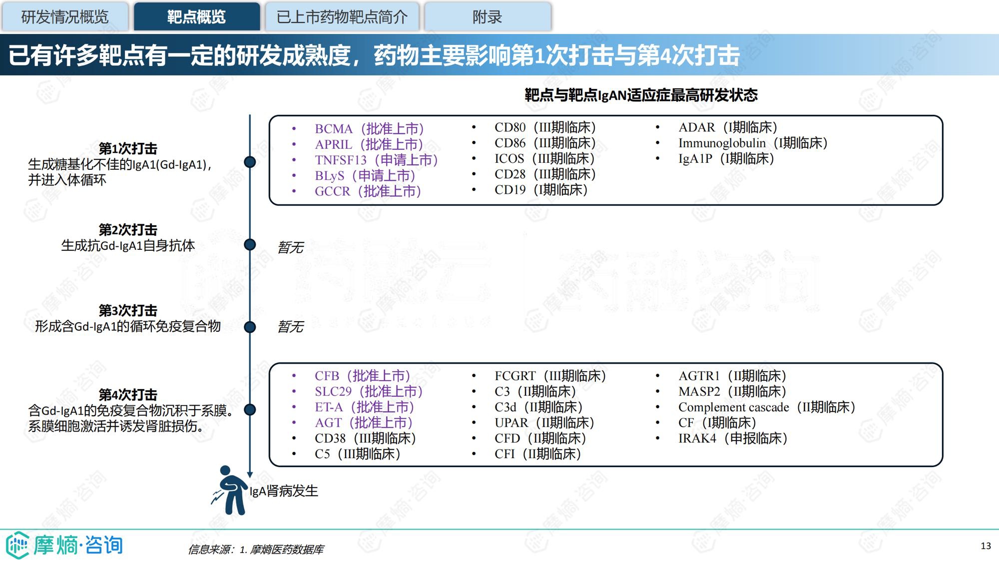 摩熵咨询2025年IgA肾病药物研发全景及已上市药物市场竞争格局报告31页.pdf